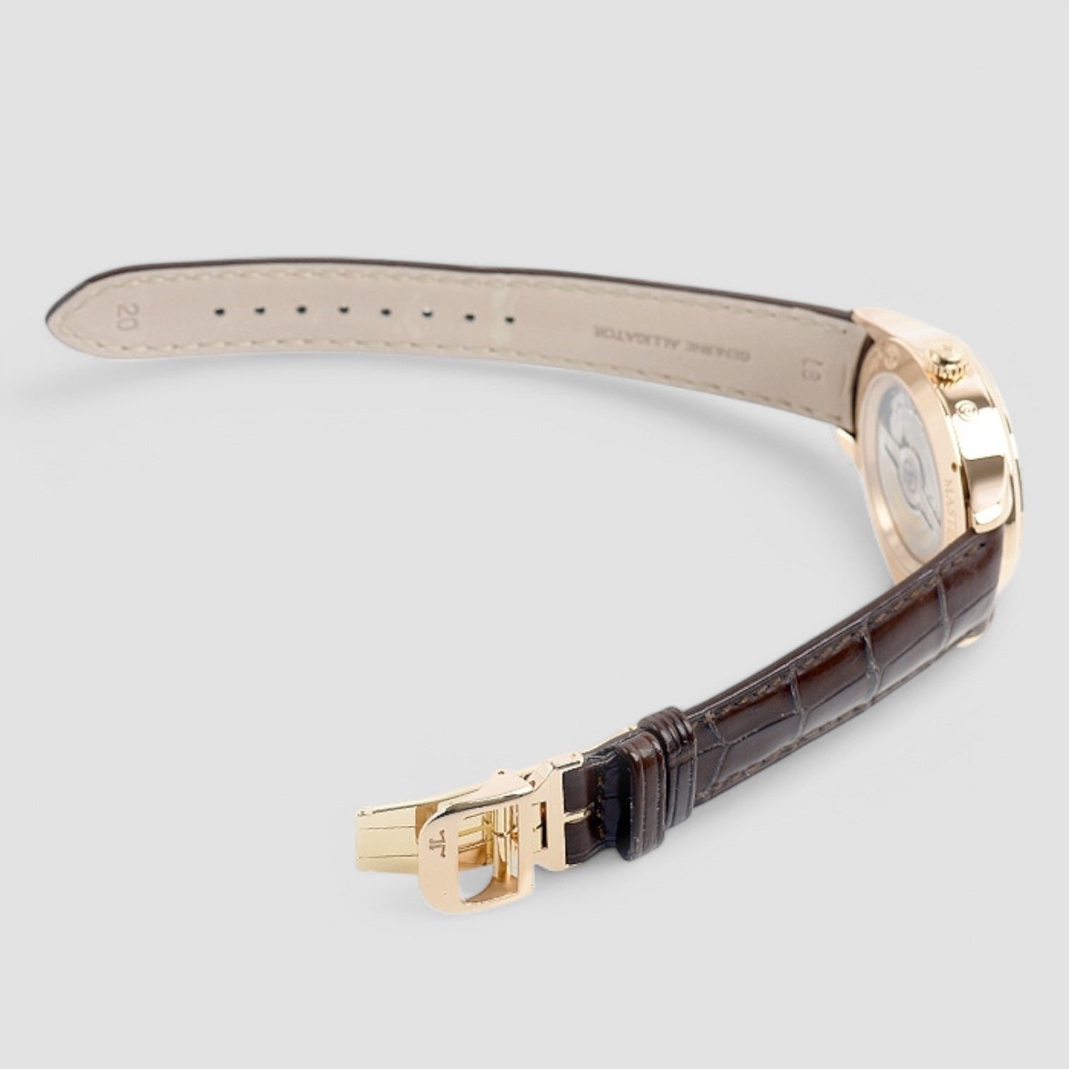 Master Geographic 18K Rose Gold Description