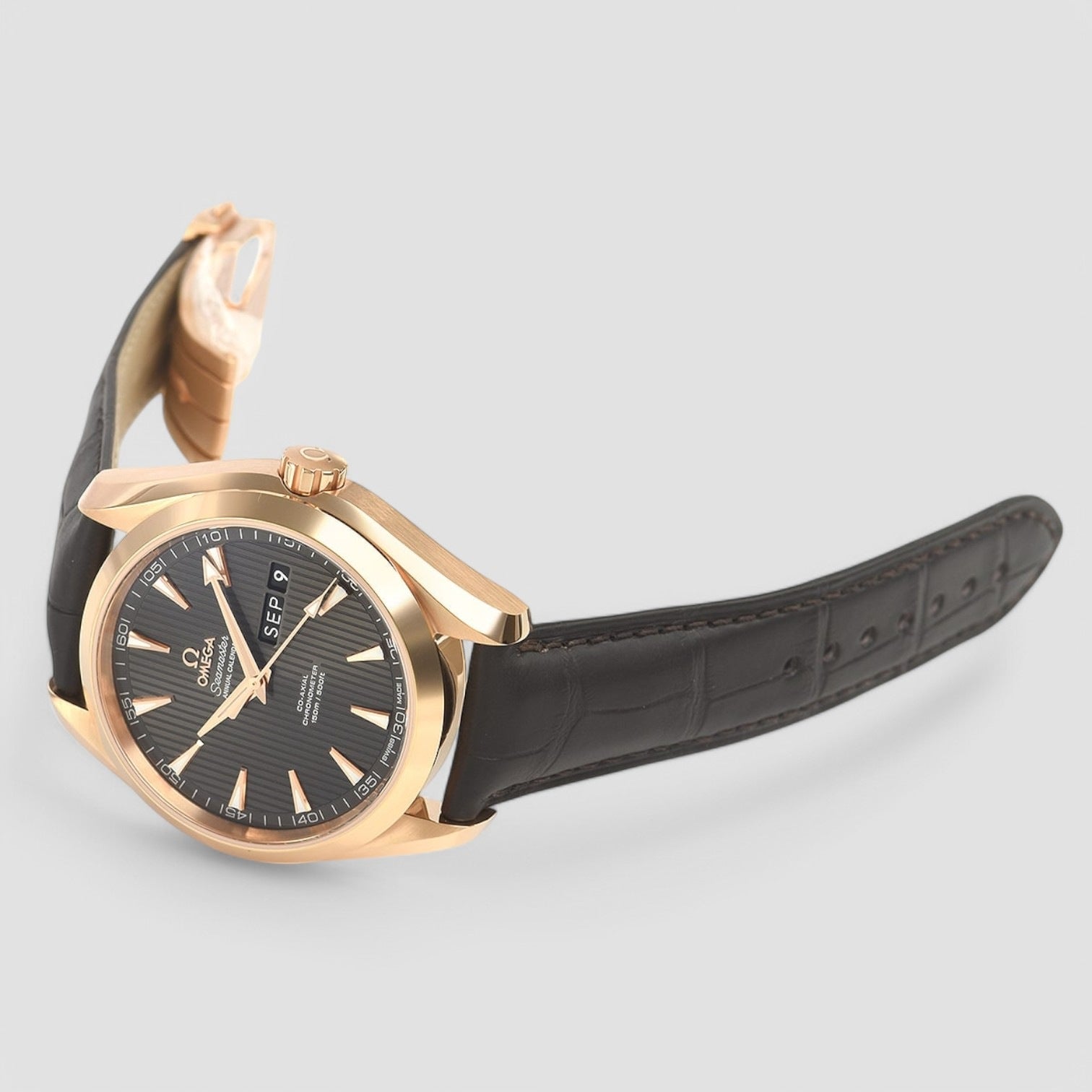 Seamaster Aqua Terra