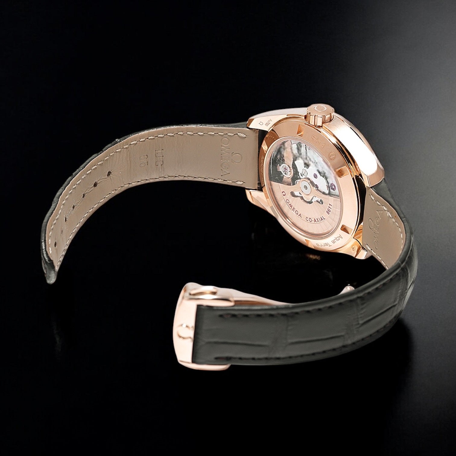 Seamaster Aqua Terra