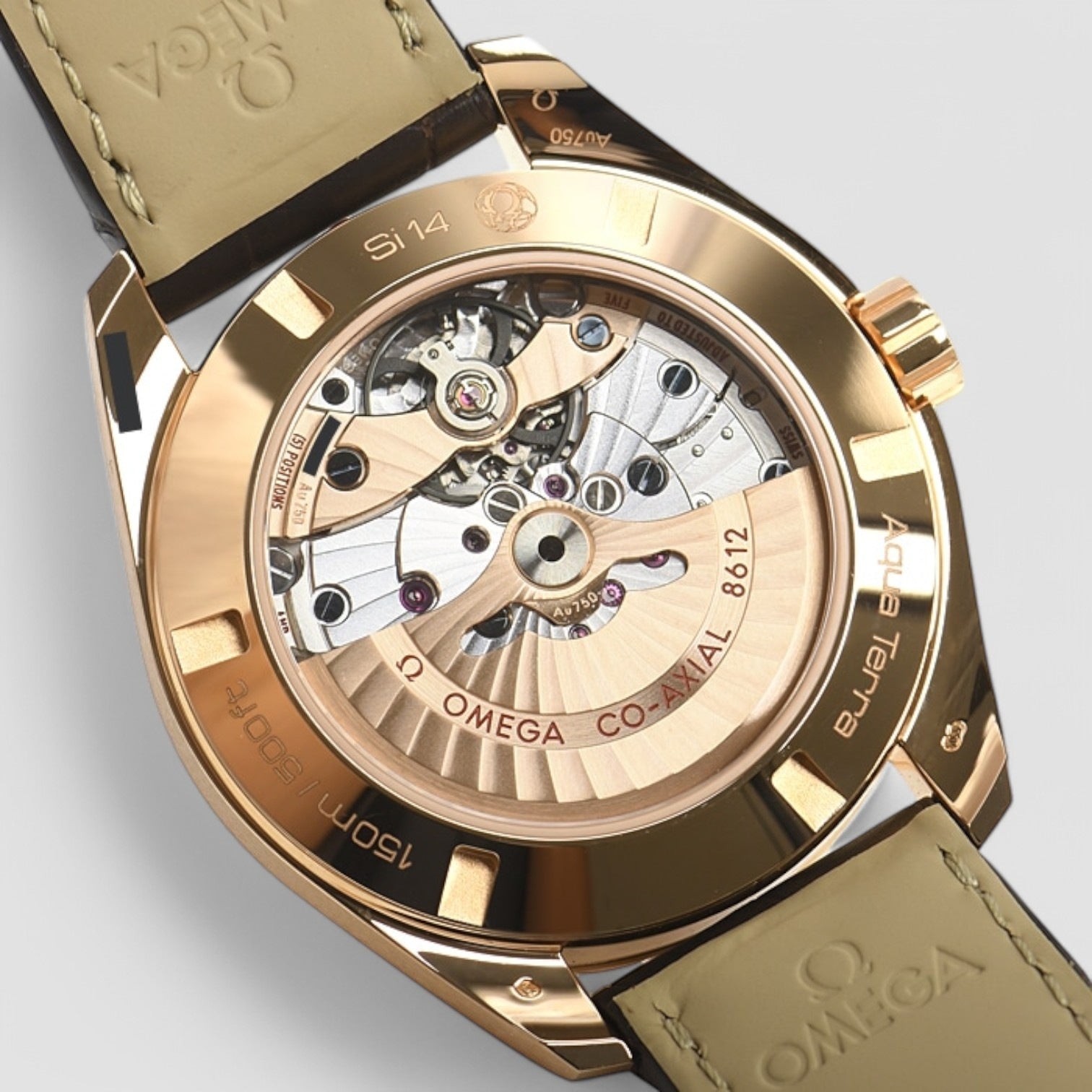 Seamaster Aqua Terra