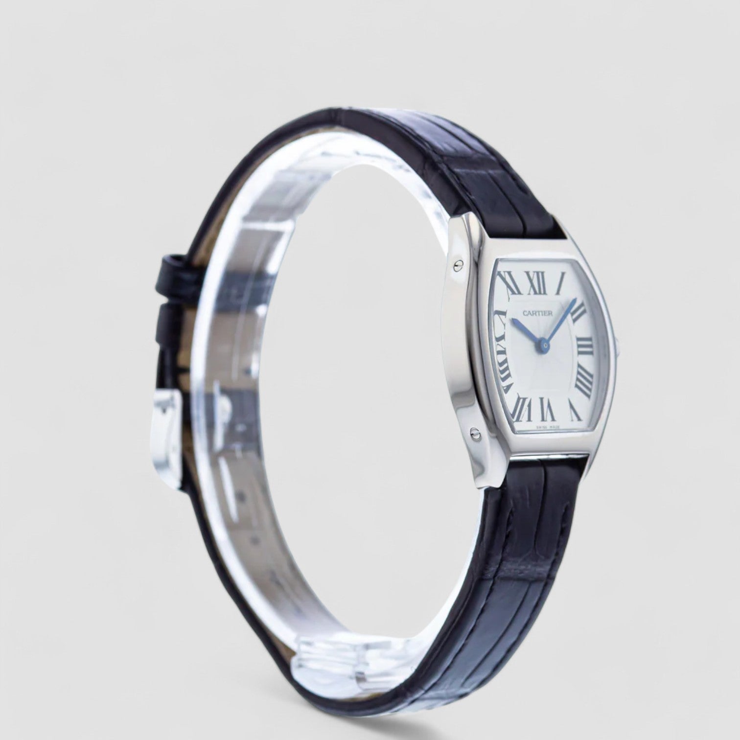 Tortue Small