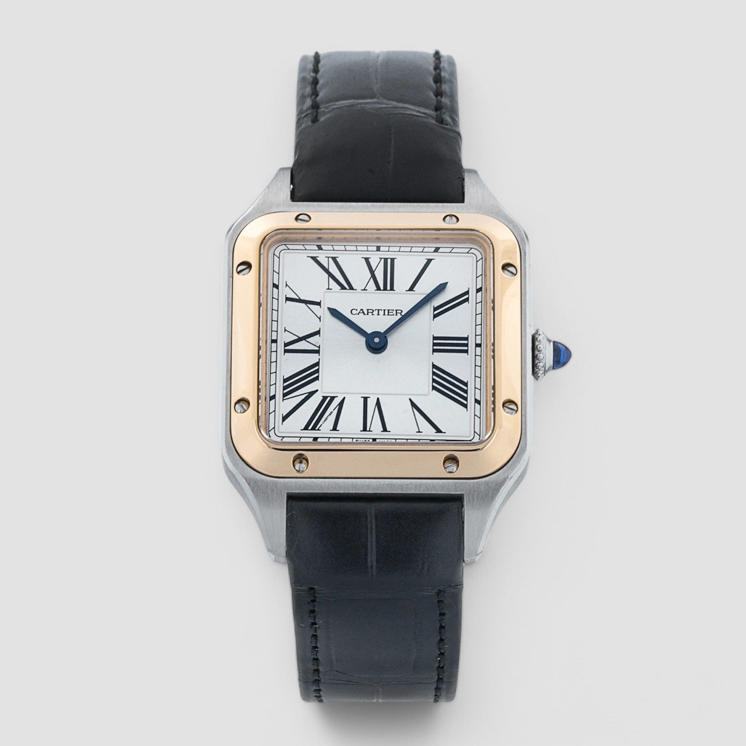 Santos Dumont W2SA0012