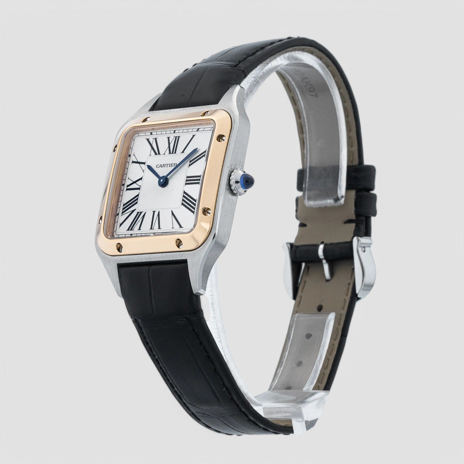 Santos Dumont W2SA0012