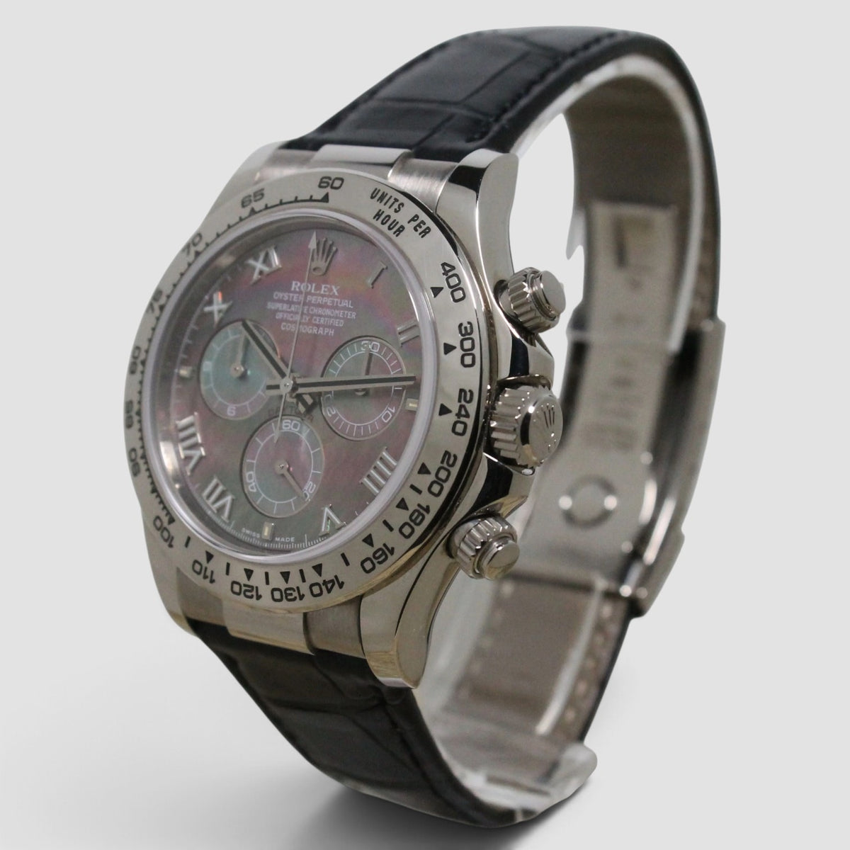 Daytona Tahitian