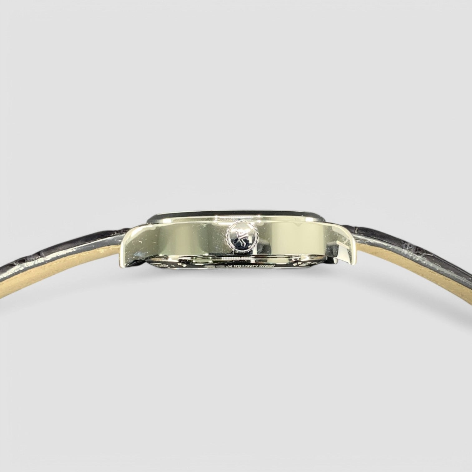 Master Tourbillon Dual Time Platinum 41MM