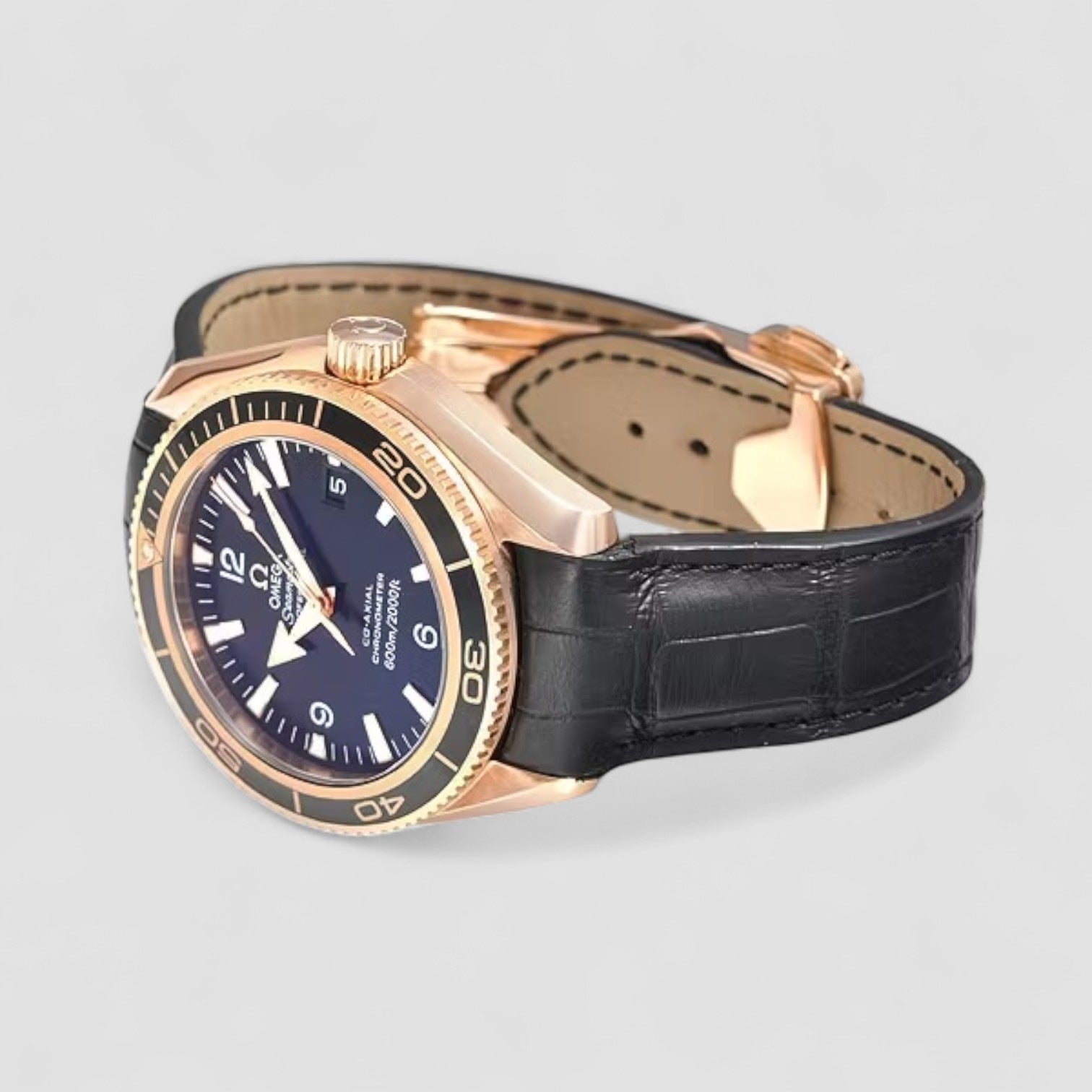 Seamaster Planet Ocean