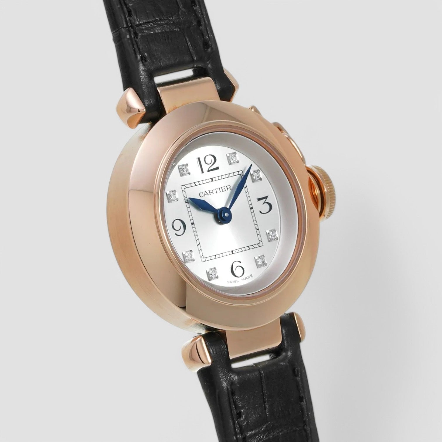 Pasha Miss Pasha WJ124028