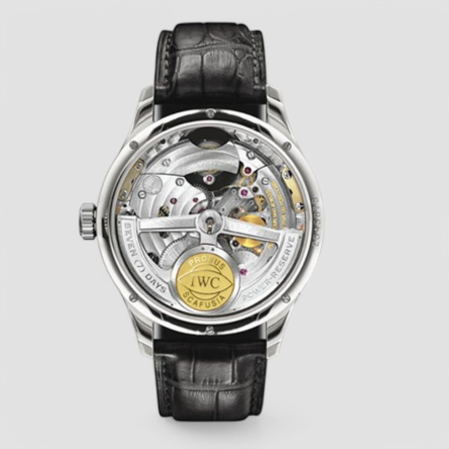 Portuguese Tourbillon Mystere Retrograde