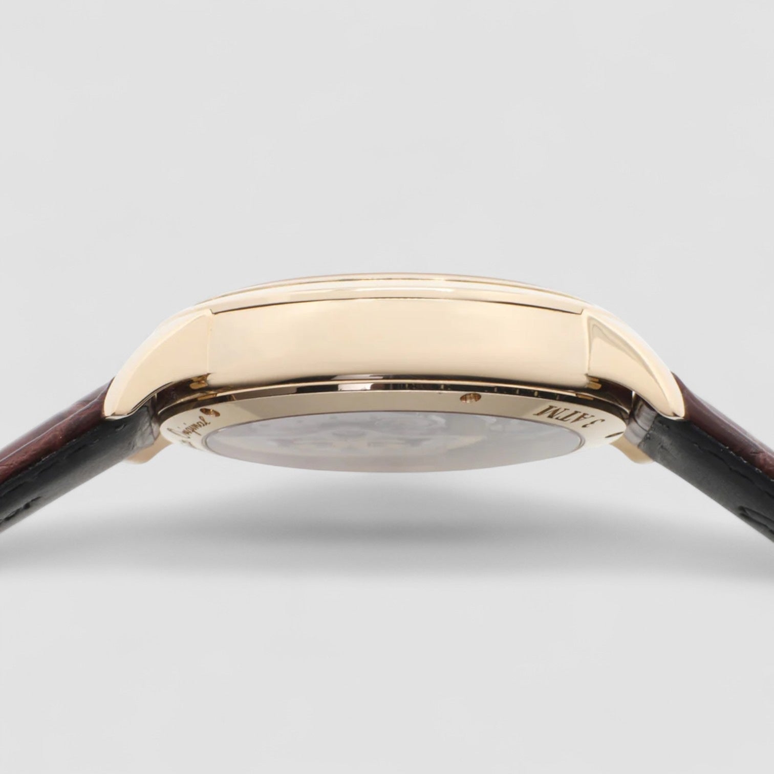 PanoMaticLunar XL 18K RG Silver Dial