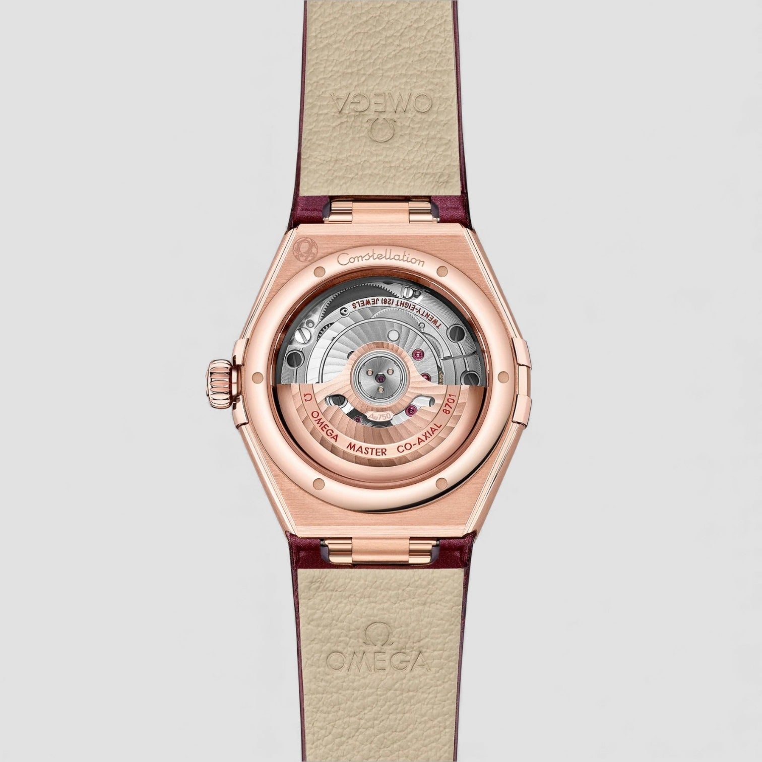 Constellation Self Winding Watch