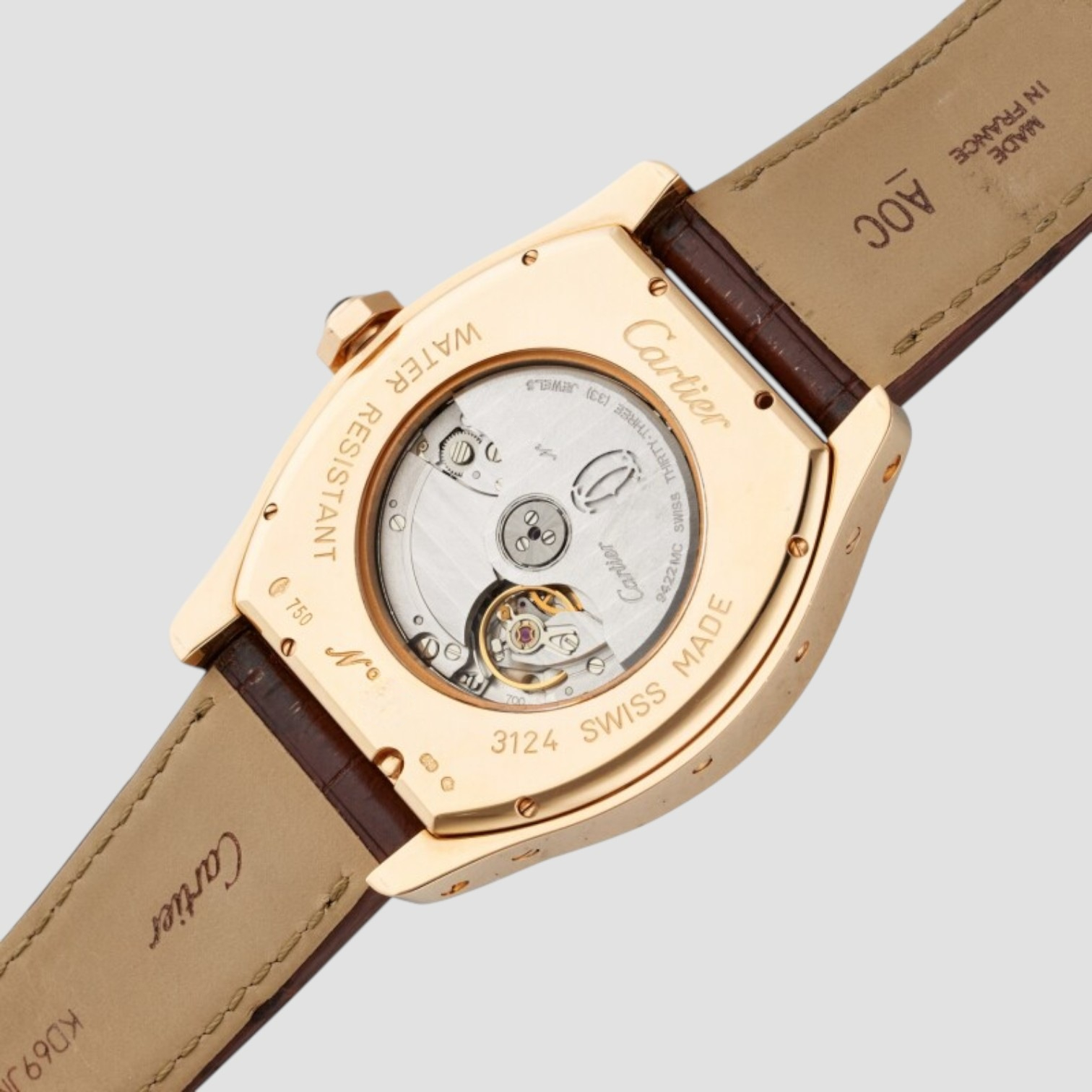 Tortue Automatic Skeleton Dial Watch