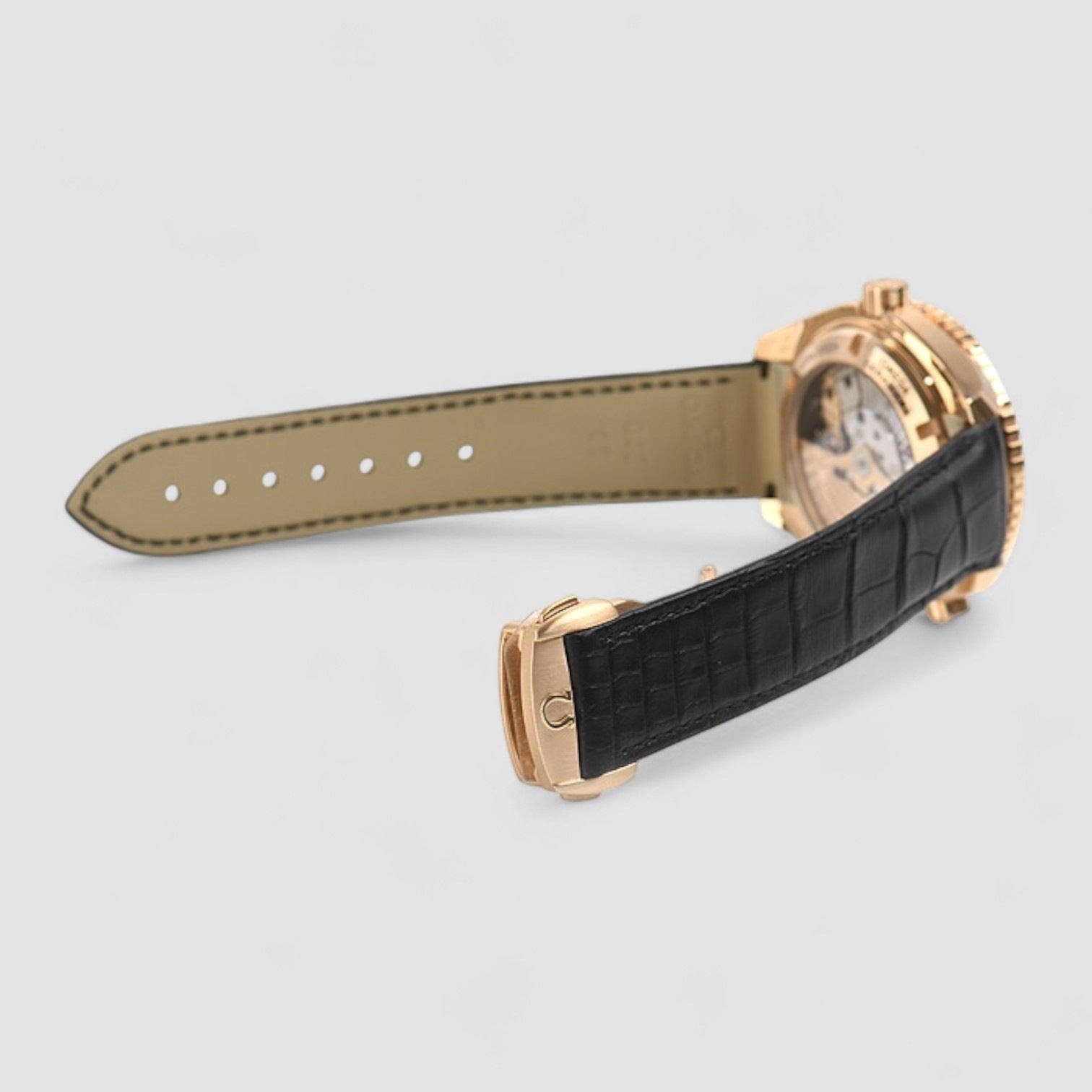 Seamaster Planet Ocean