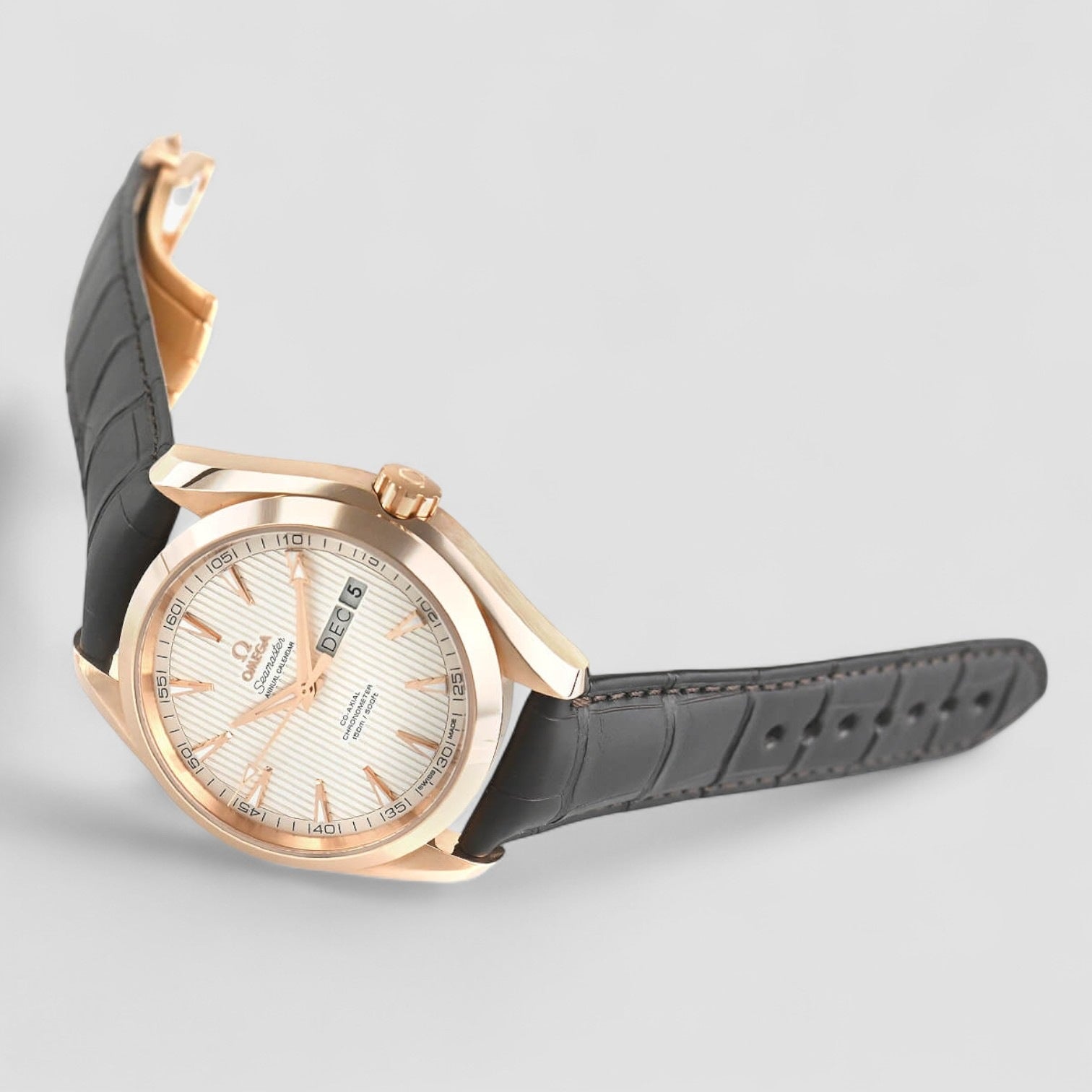 Aqua Terra Annual Calendar 43mm Mens Watch