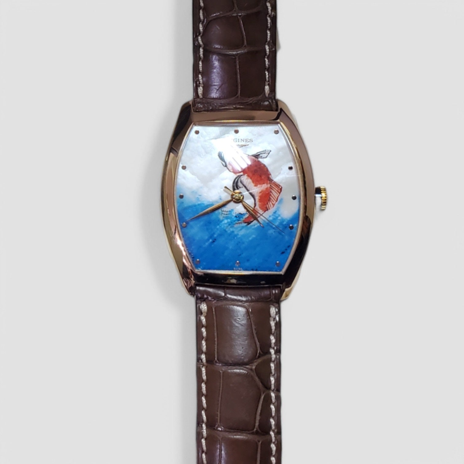 Evidenza 33.1 Automatic Taiwan Fish