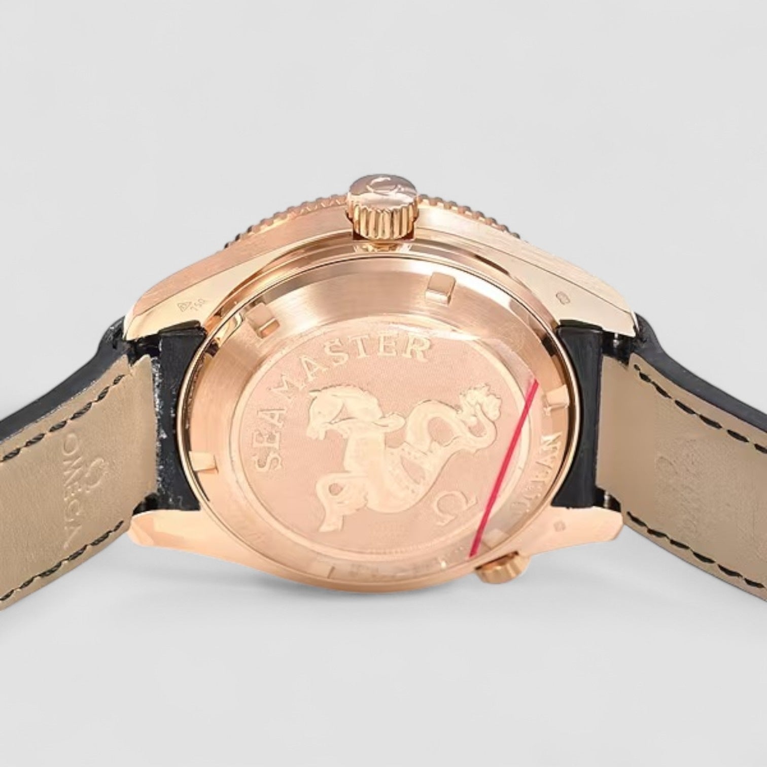 Seamaster Planet Ocean