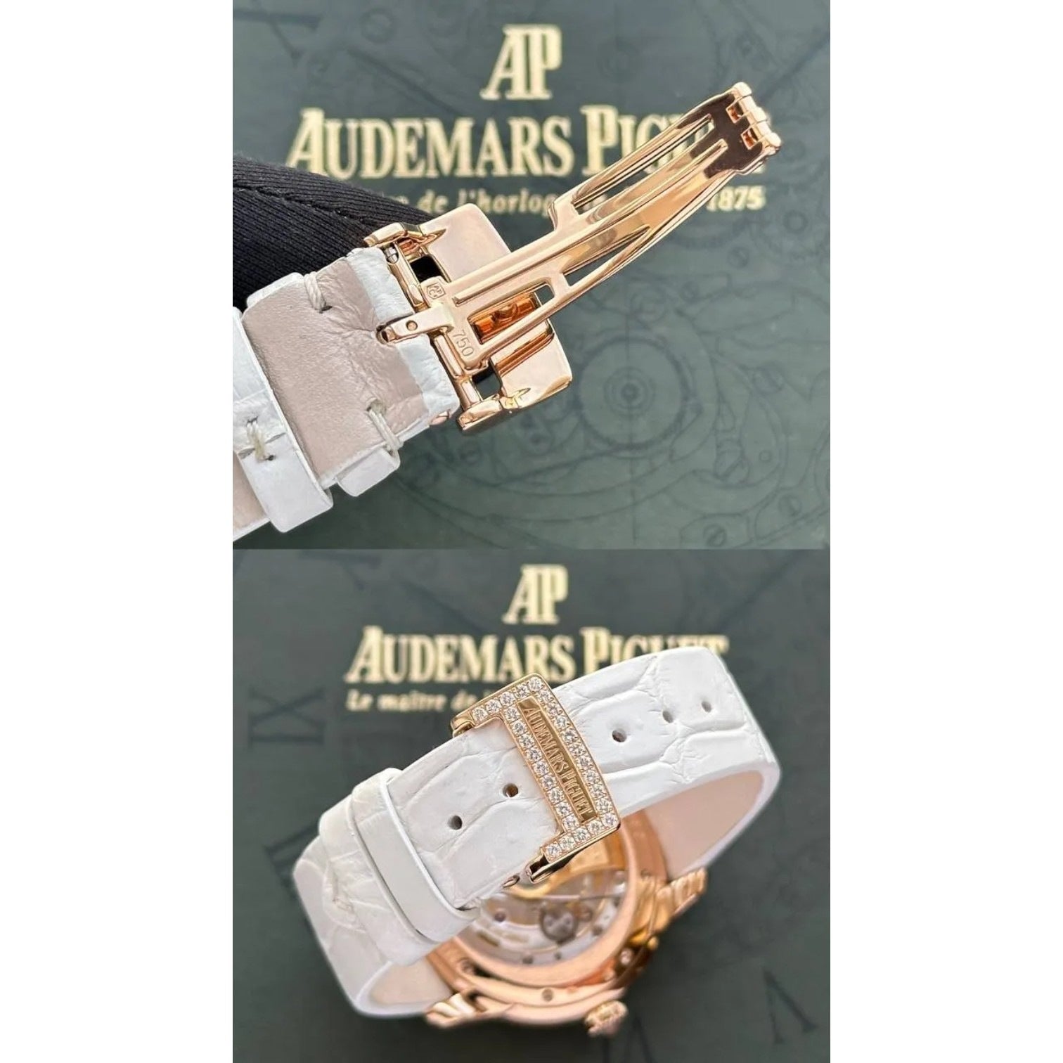 Millenary Starlit Sky