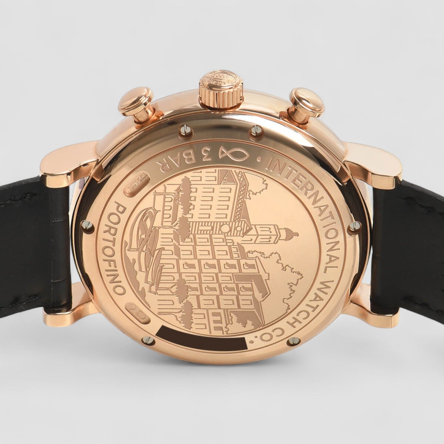 Portofino Chronograph Mens Watch