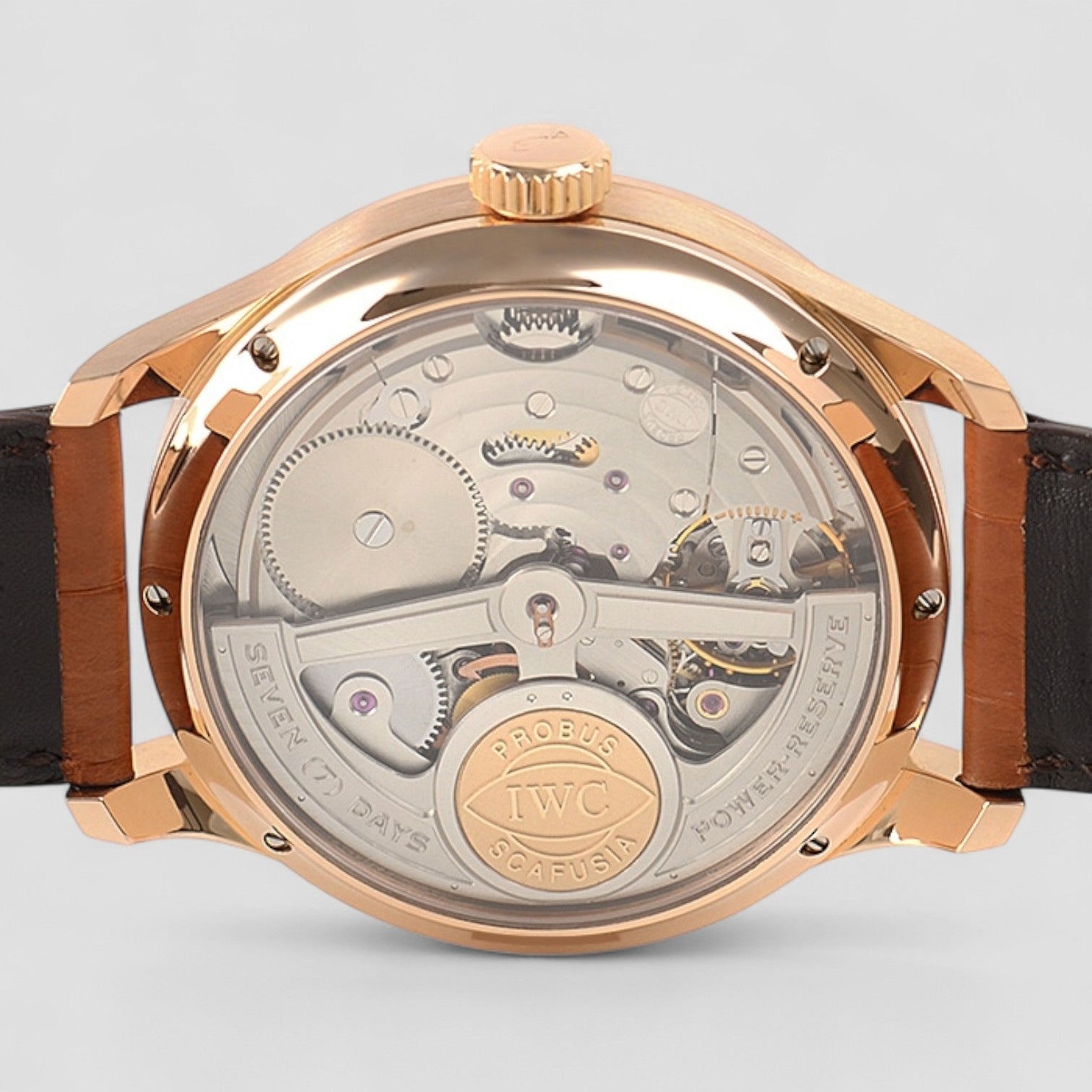 Portugieser Perpetual RG/Black