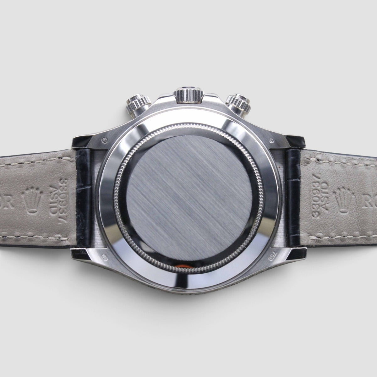 Daytona Tahitian