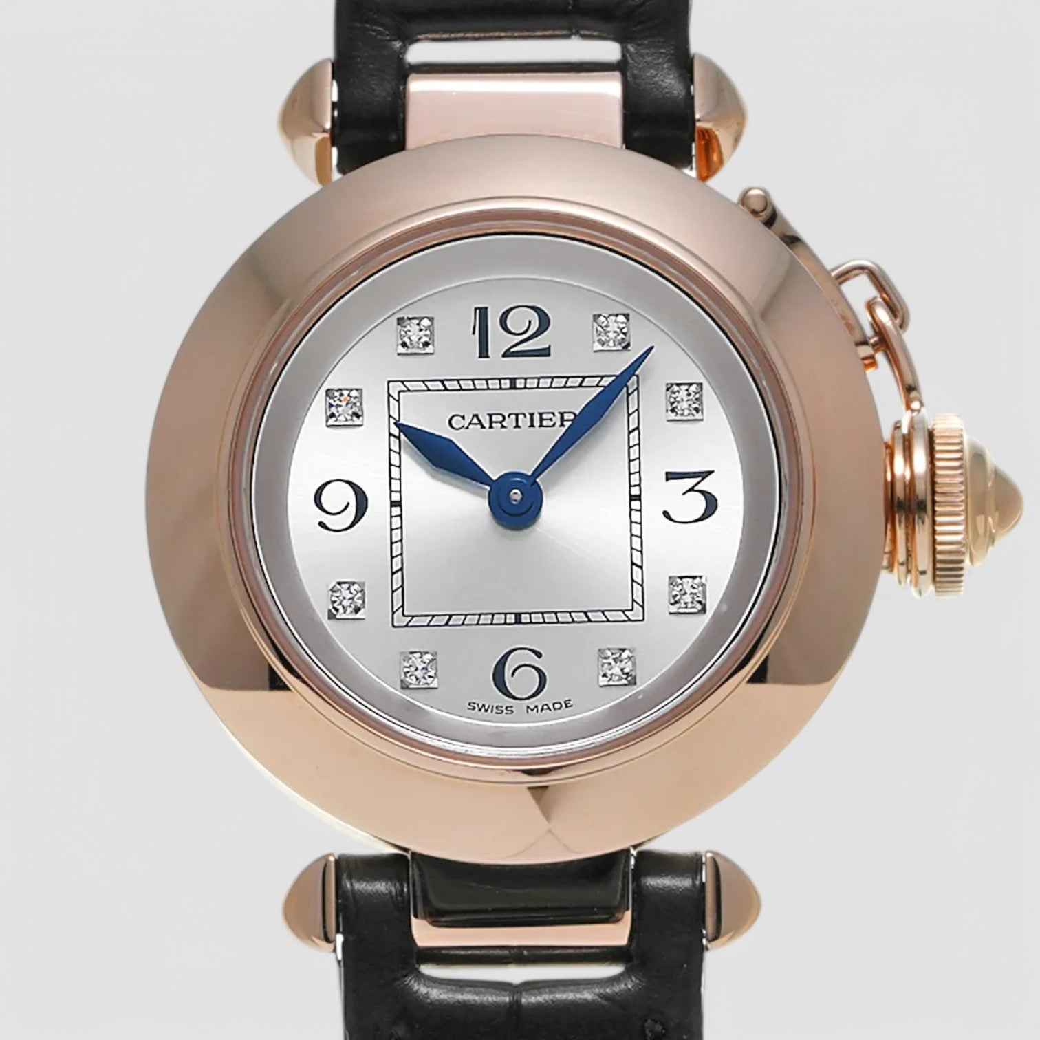 Pasha Miss Pasha WJ124028