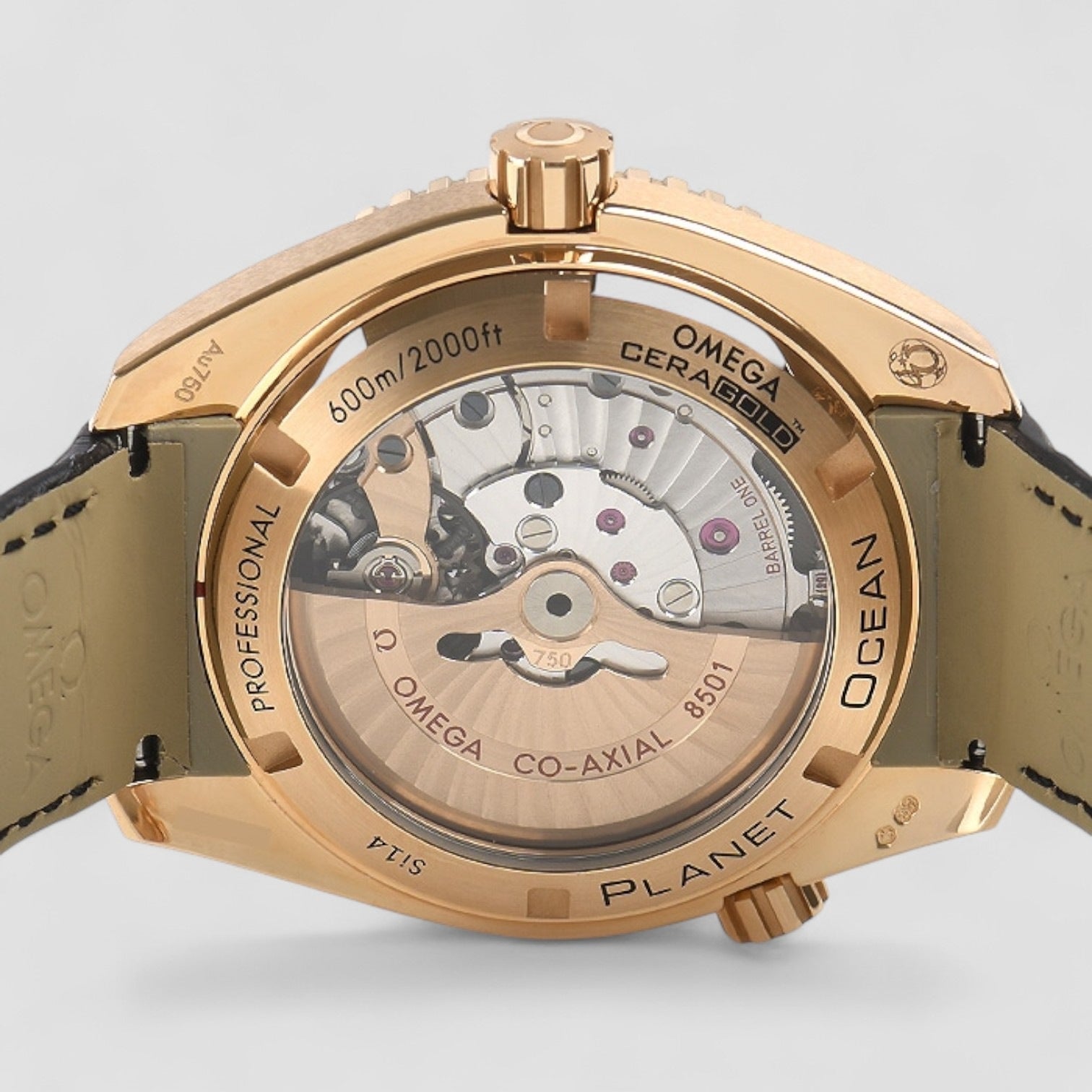 Seamaster Planet Ocean