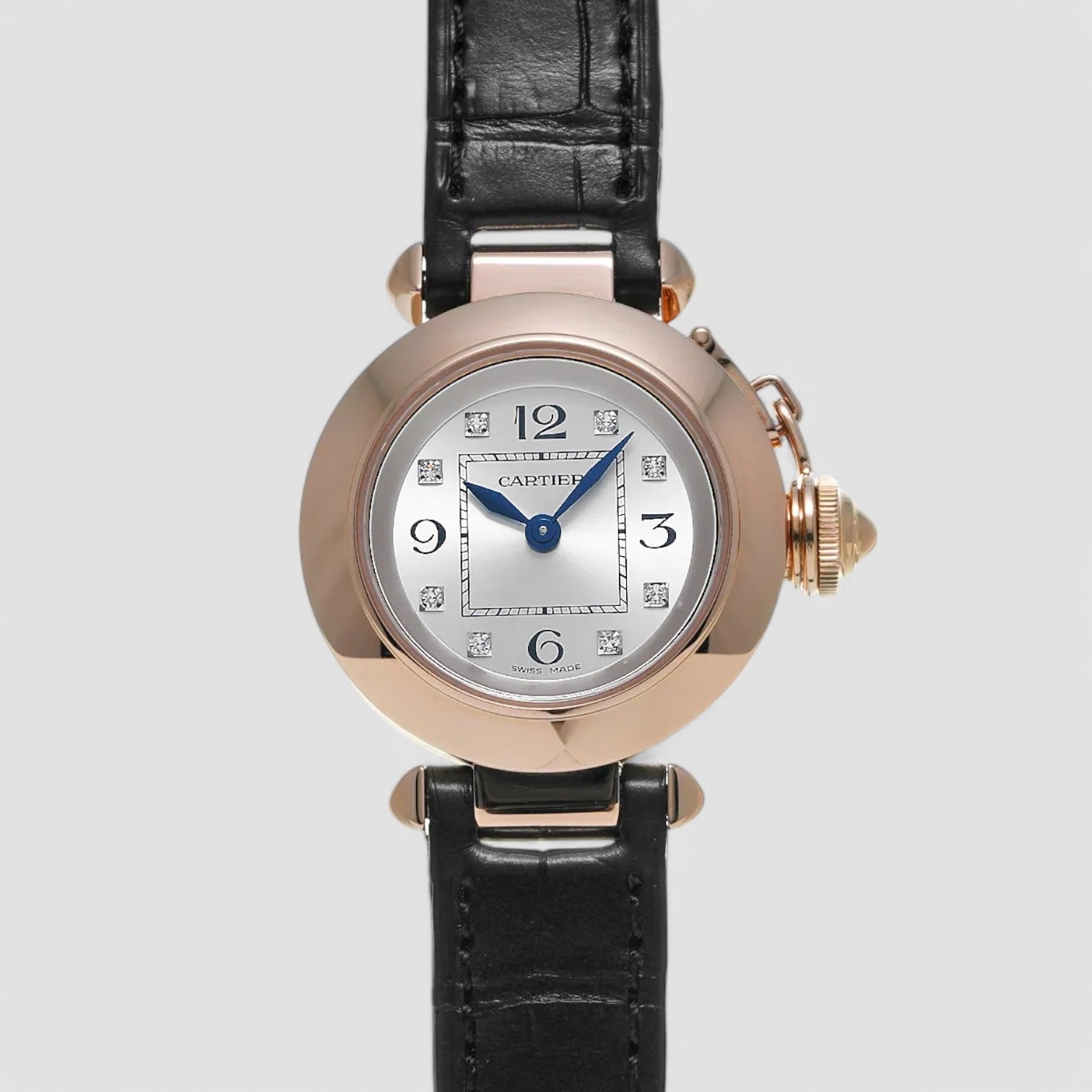 Pasha Miss Pasha WJ124028