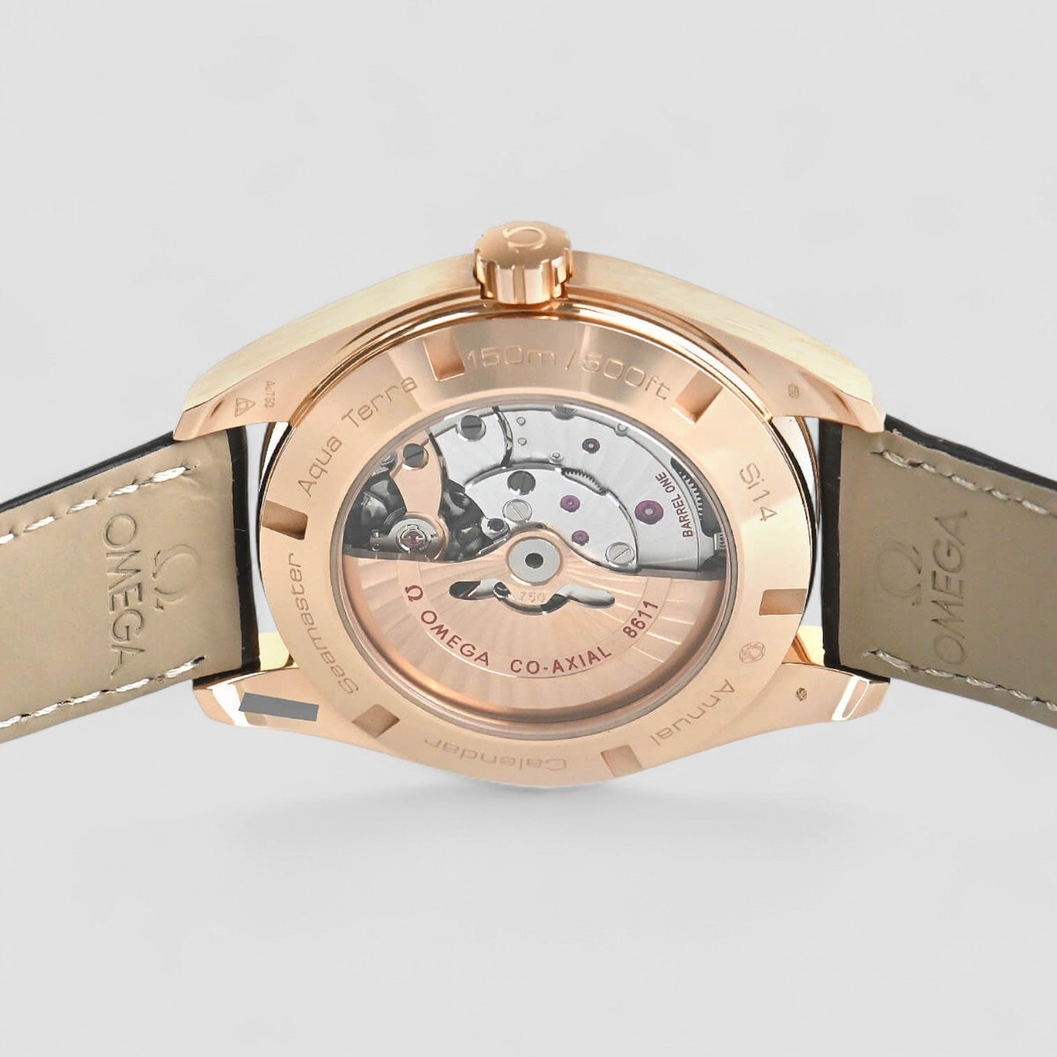 Aqua Terra Annual Calendar 43mm Mens Watch