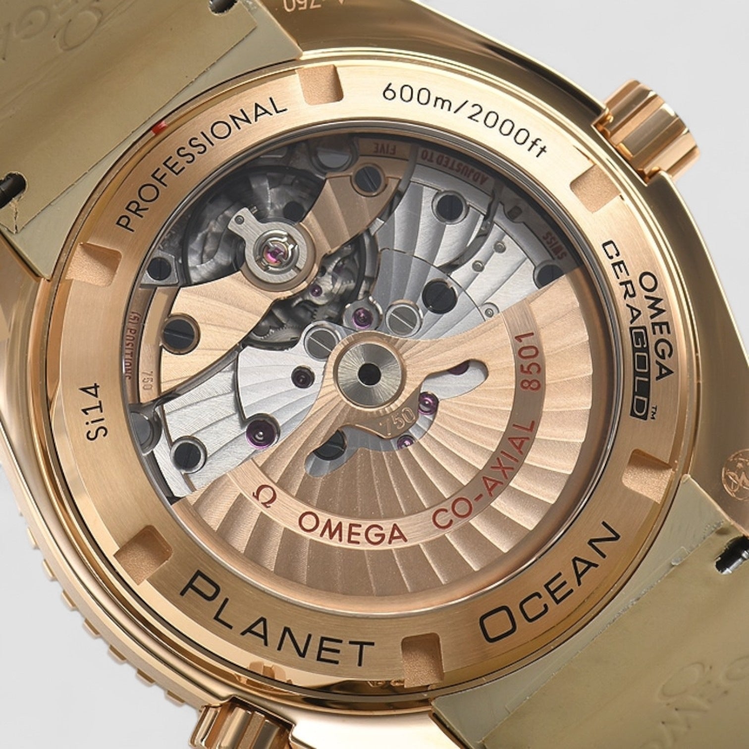 Seamaster Planet Ocean