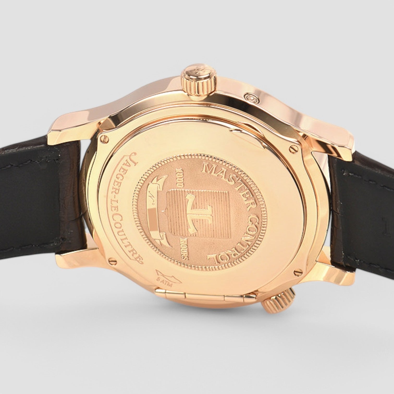 Master Control Geographic Rose Gold Automatic