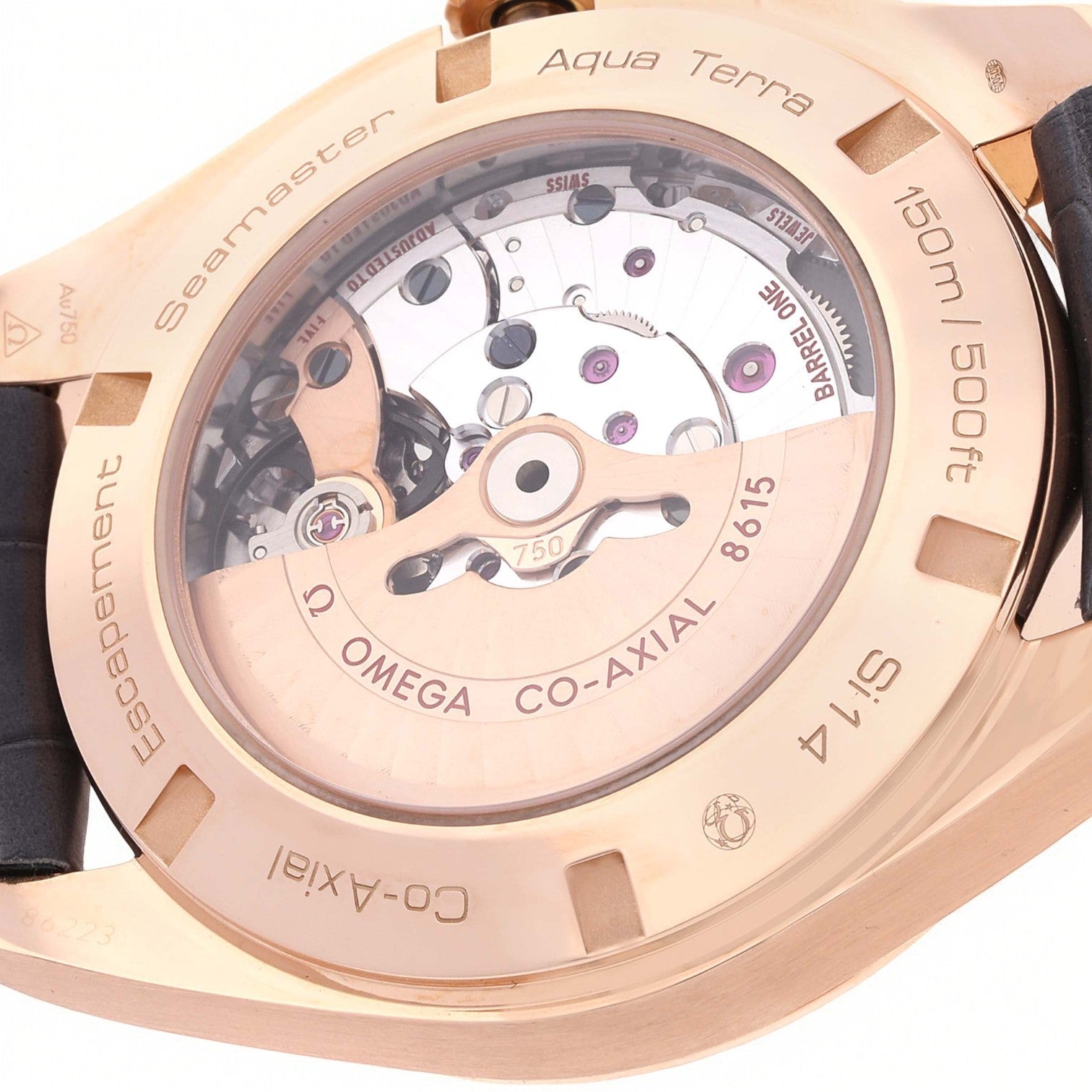 Aqua Terra GMT Brown Dial Rose Gold 43MM