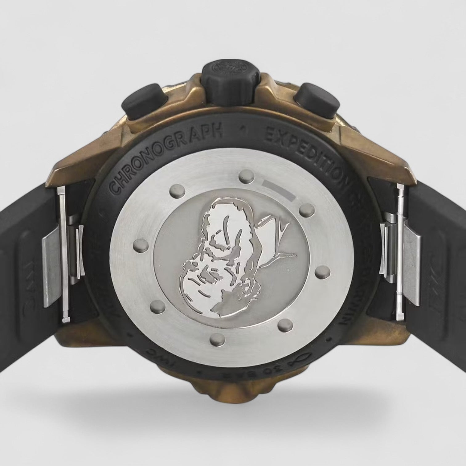 Aquatimer Chronograph Charles Darwin