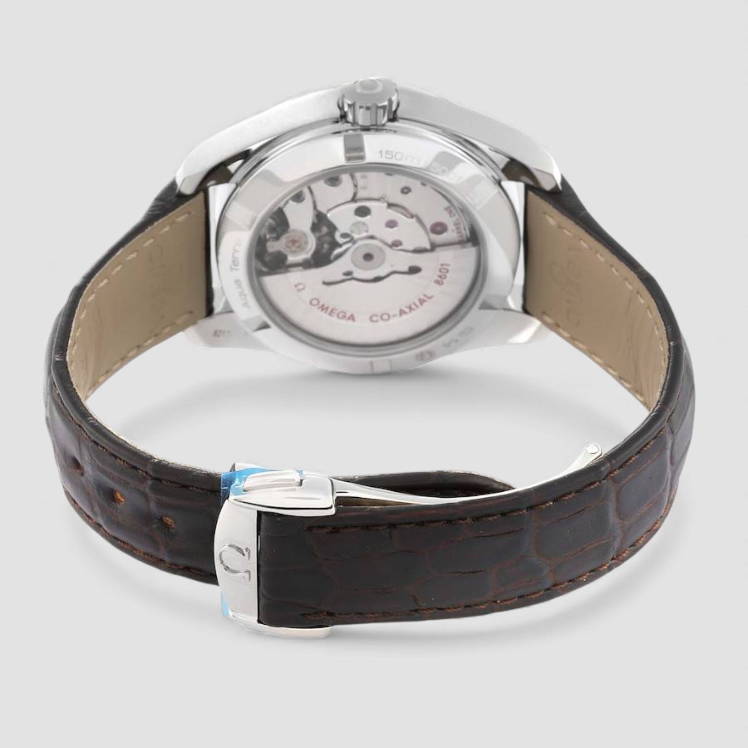 Seamaster Aqua Terra Annual Calendar