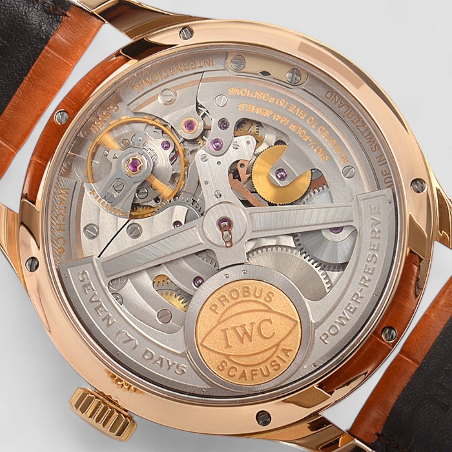 Portugieser Perpetual RG/Black