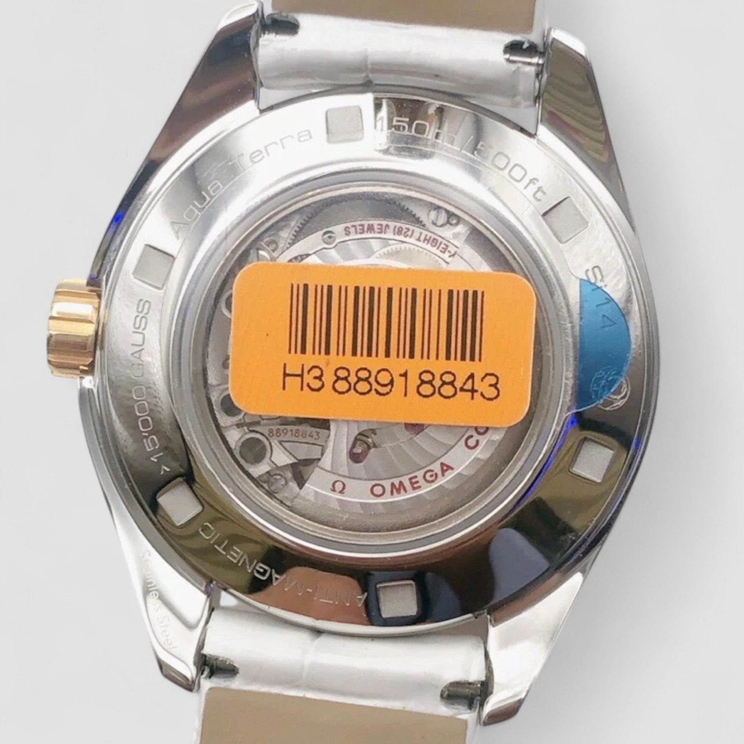 Seamaster Aqua Terra Mother of Pearl Dial Ladies Watch