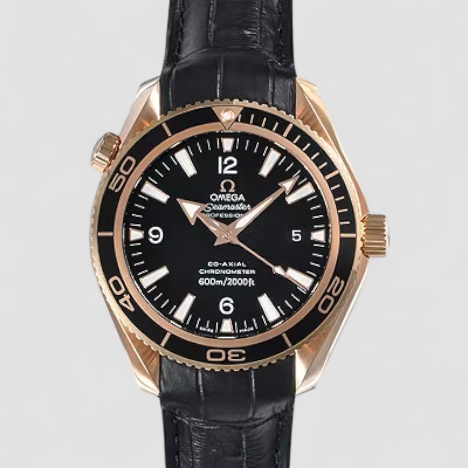 Seamaster Planet Ocean