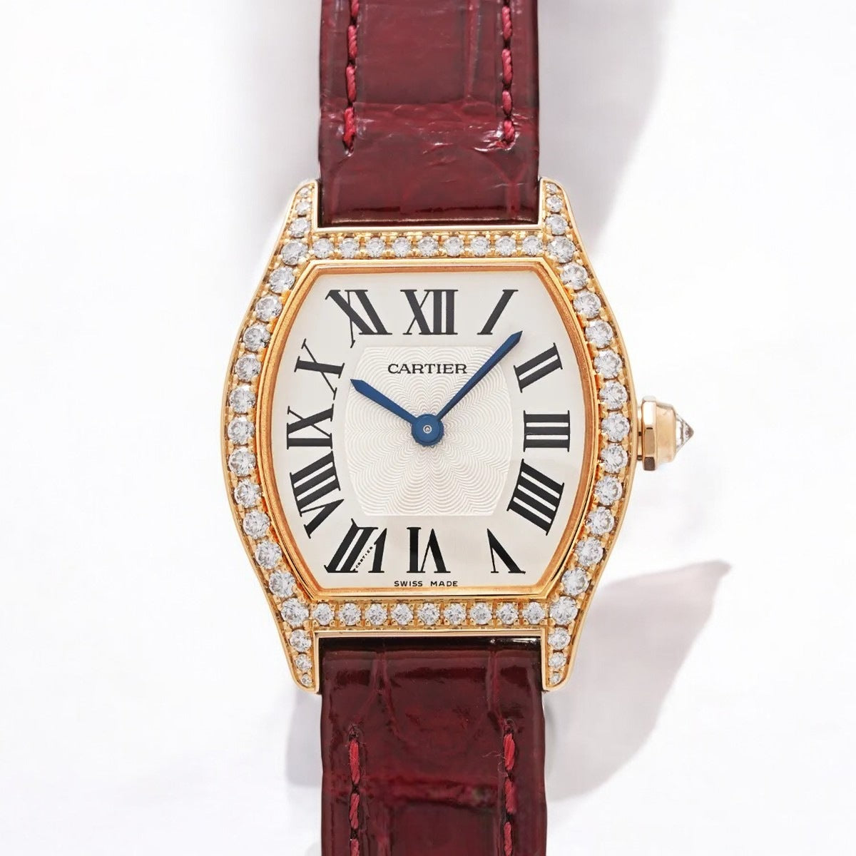 Tortue WA501006