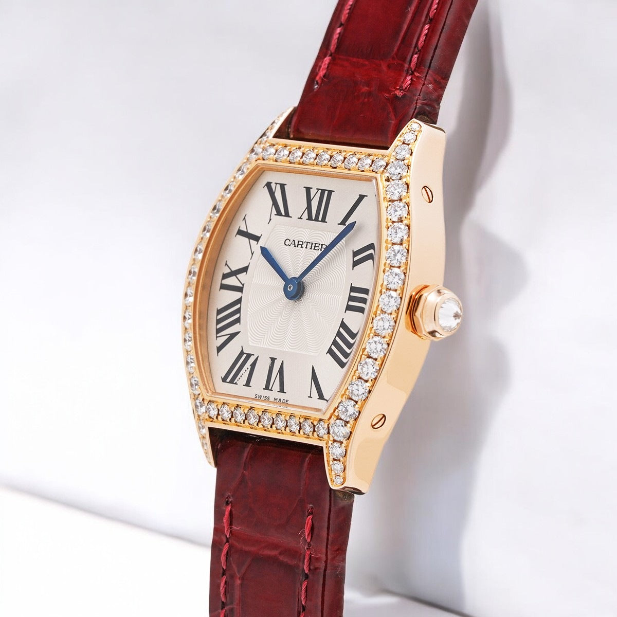 Tortue WA501006