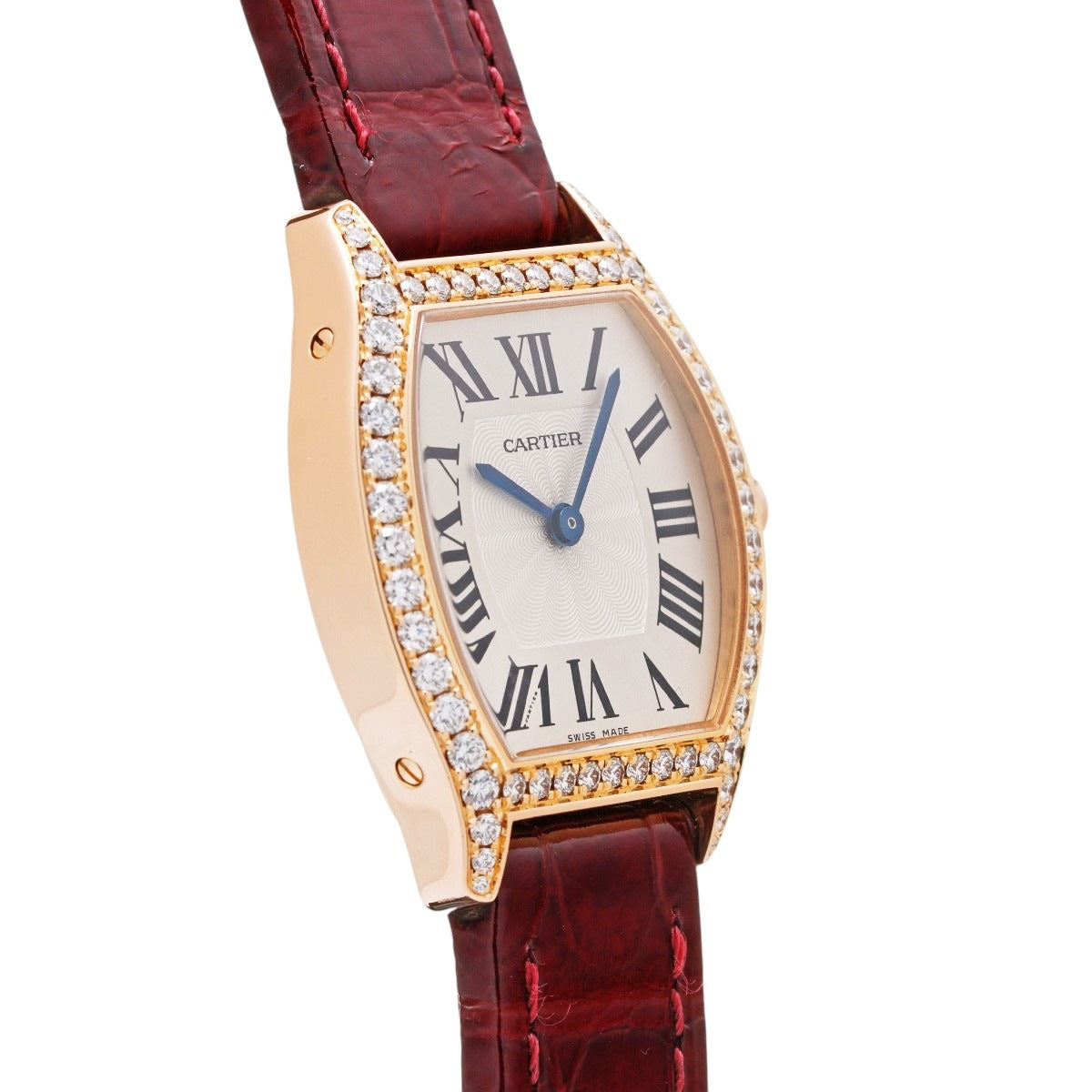 Tortue WA501006