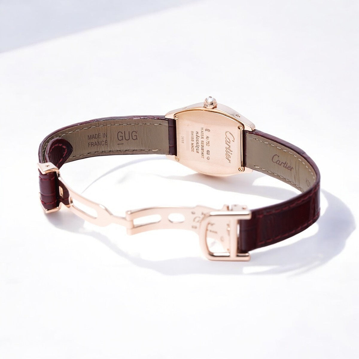 Tortue WA501006
