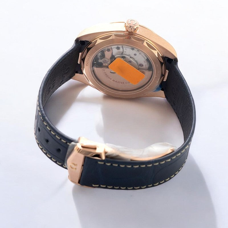 Seamaster Aqua Terra