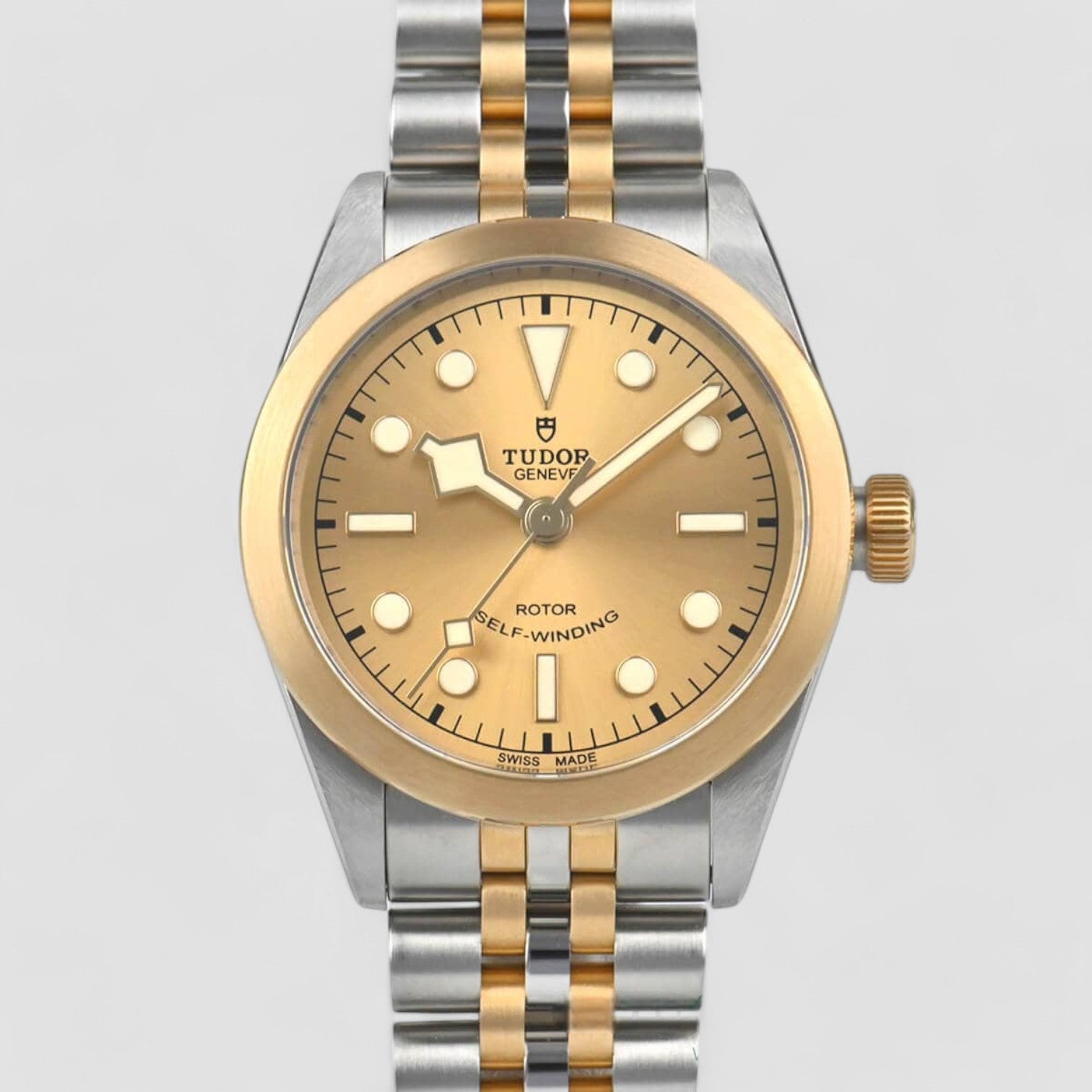 MOB無地黒追加 Tudor Black Bay 36 S&g M79503-0002