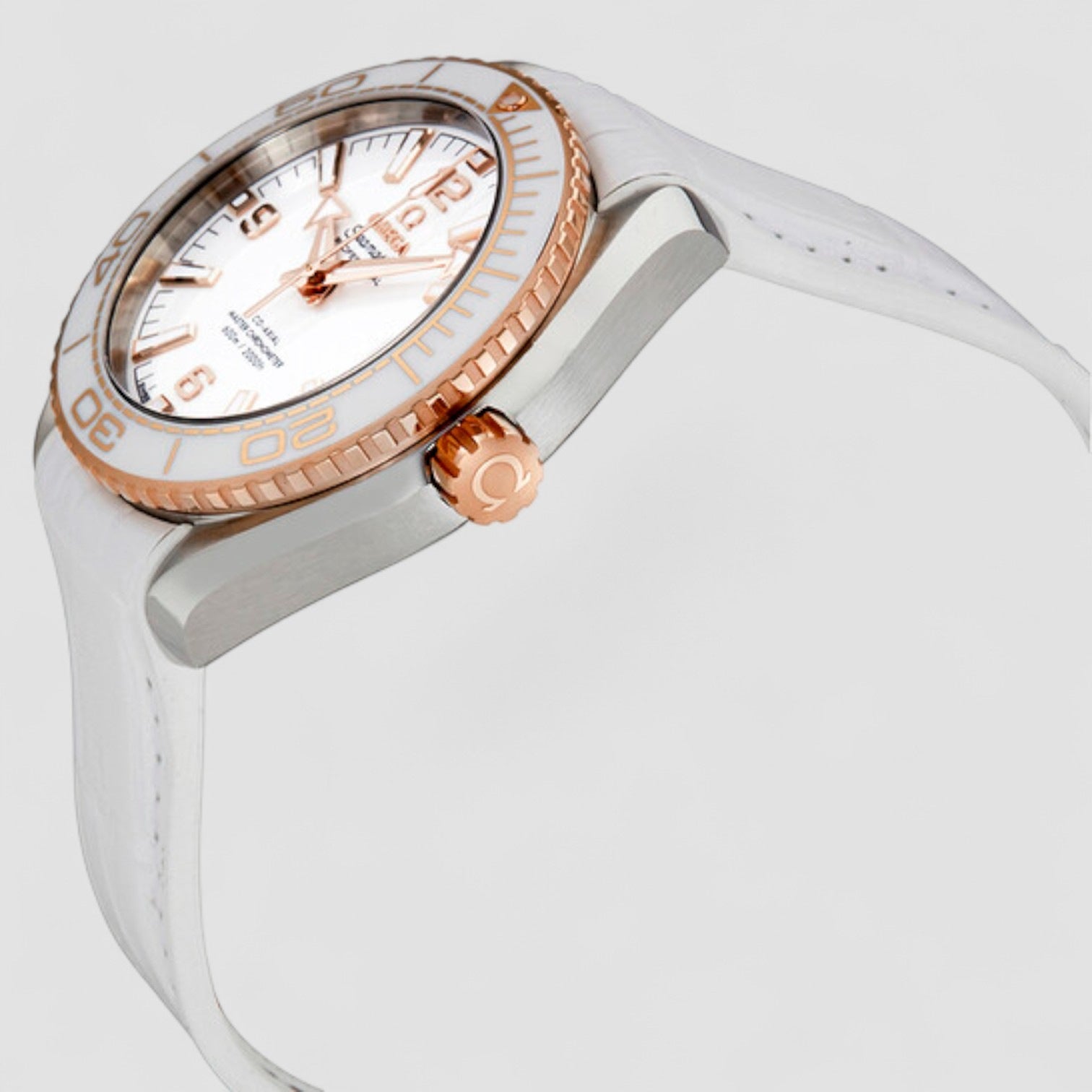 Seamaster Planet Ocean
