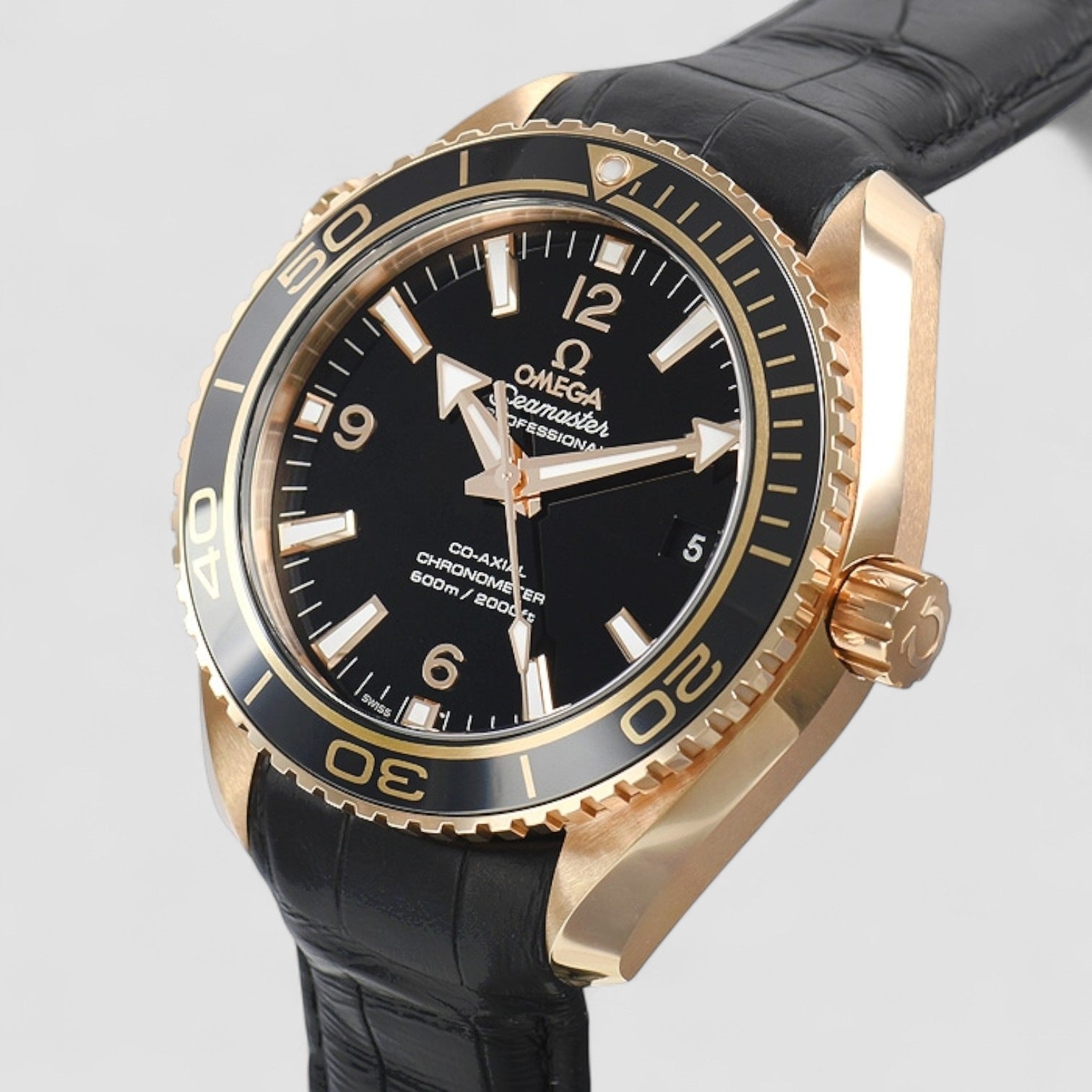 Seamaster Planet Ocean