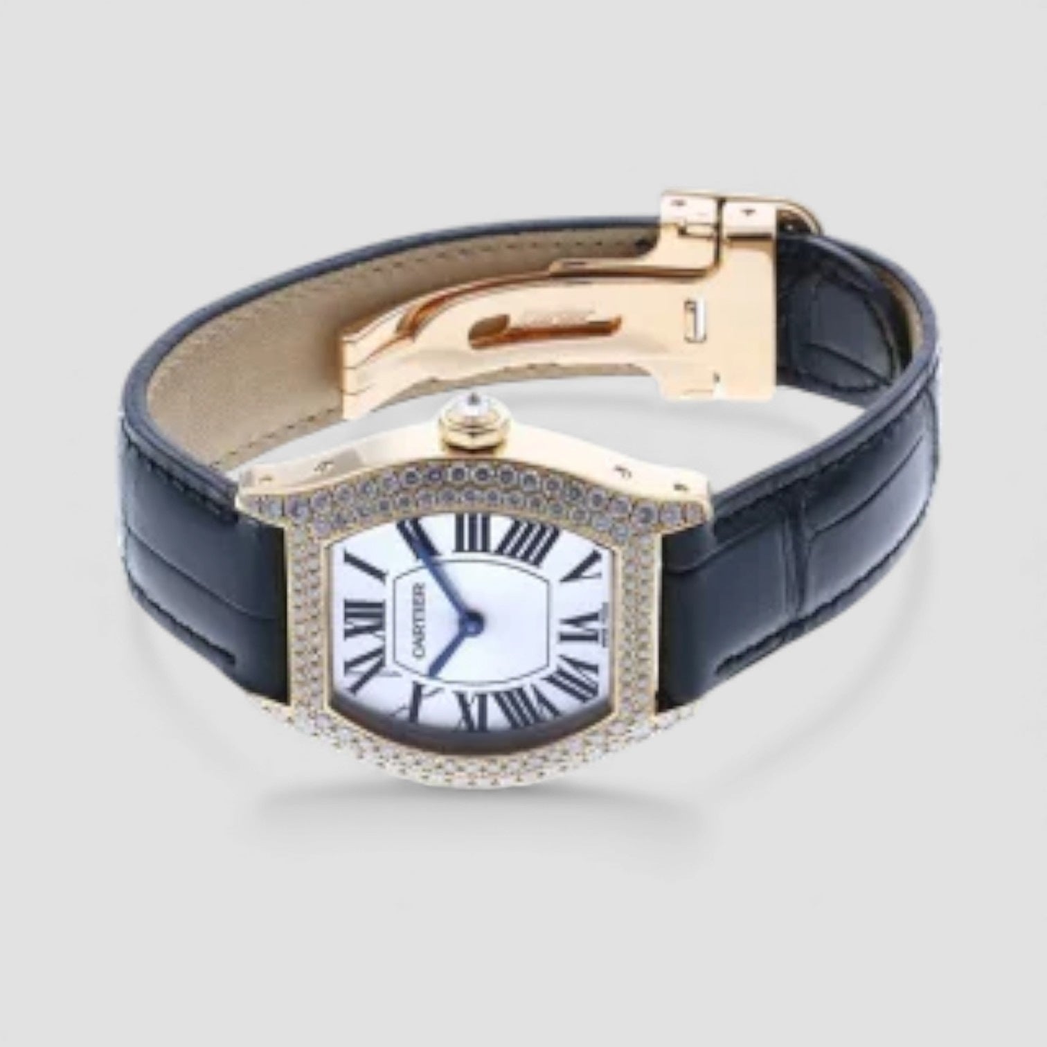 Tortue 18k Yellow Gold Ladies Watch