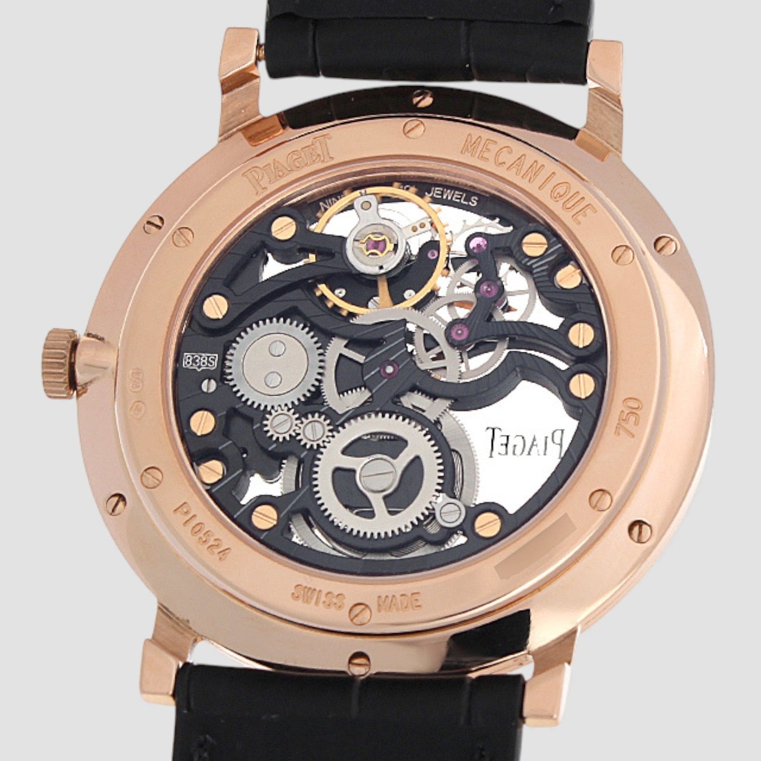 Altiplano Skeleton
