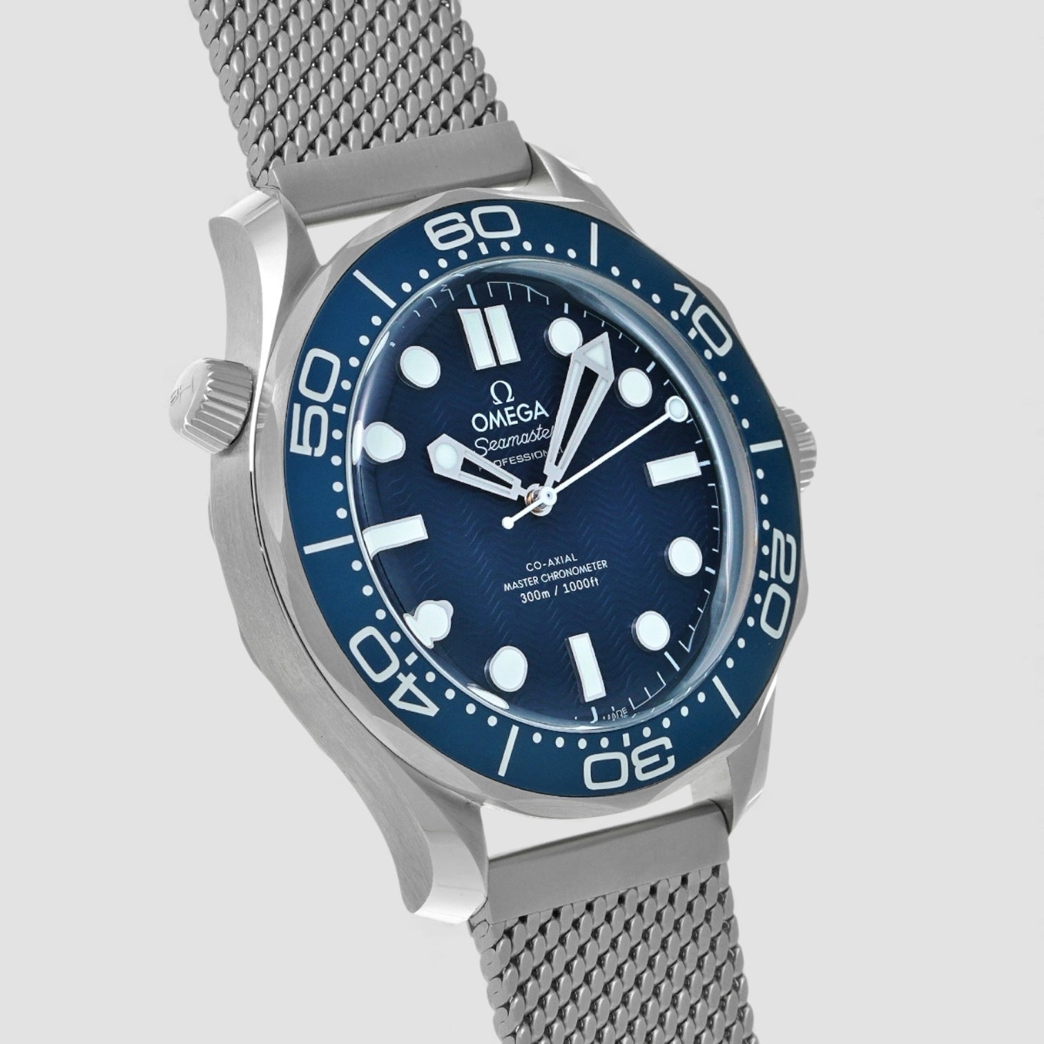 Seamaster Diver 300M