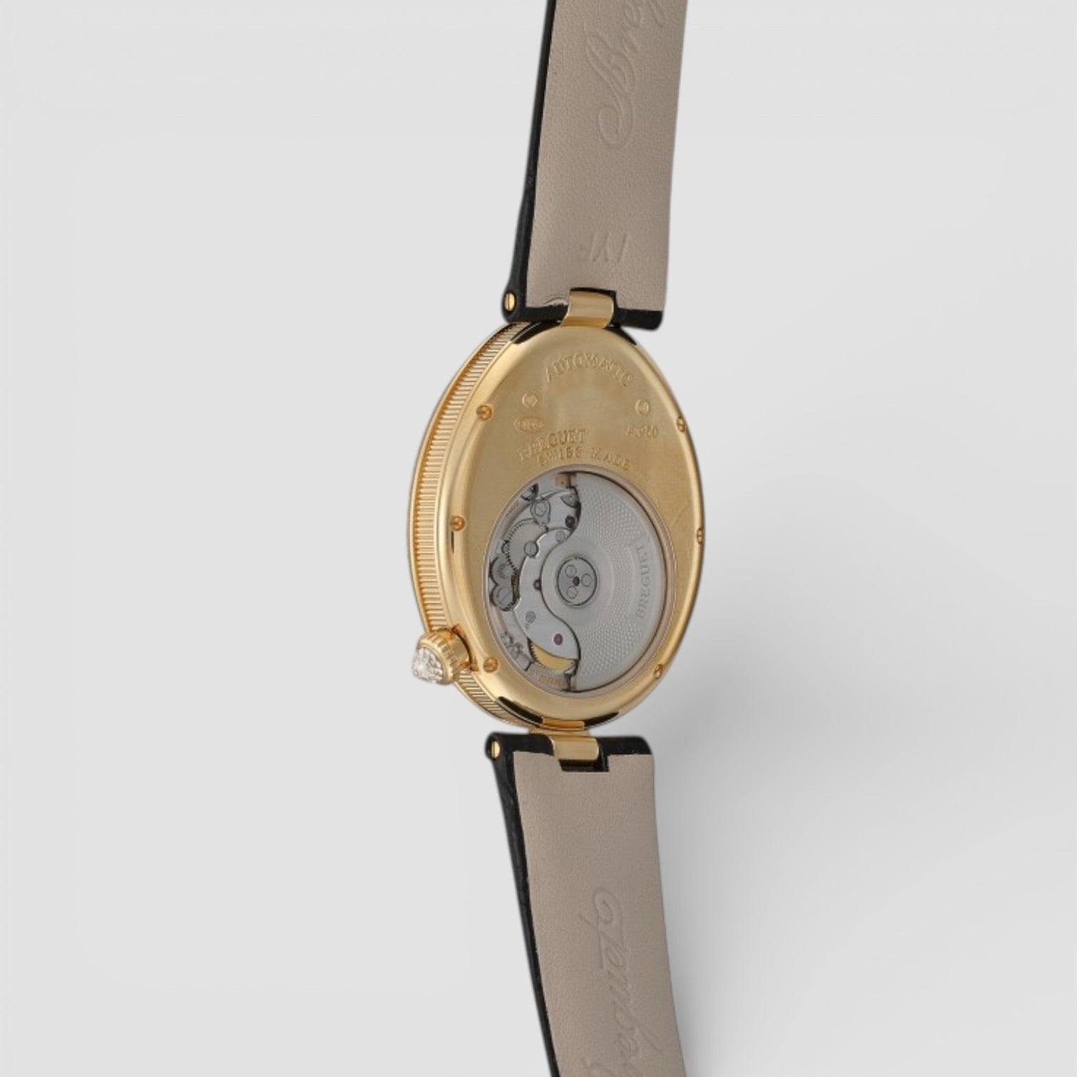 Reine De Naples 8918