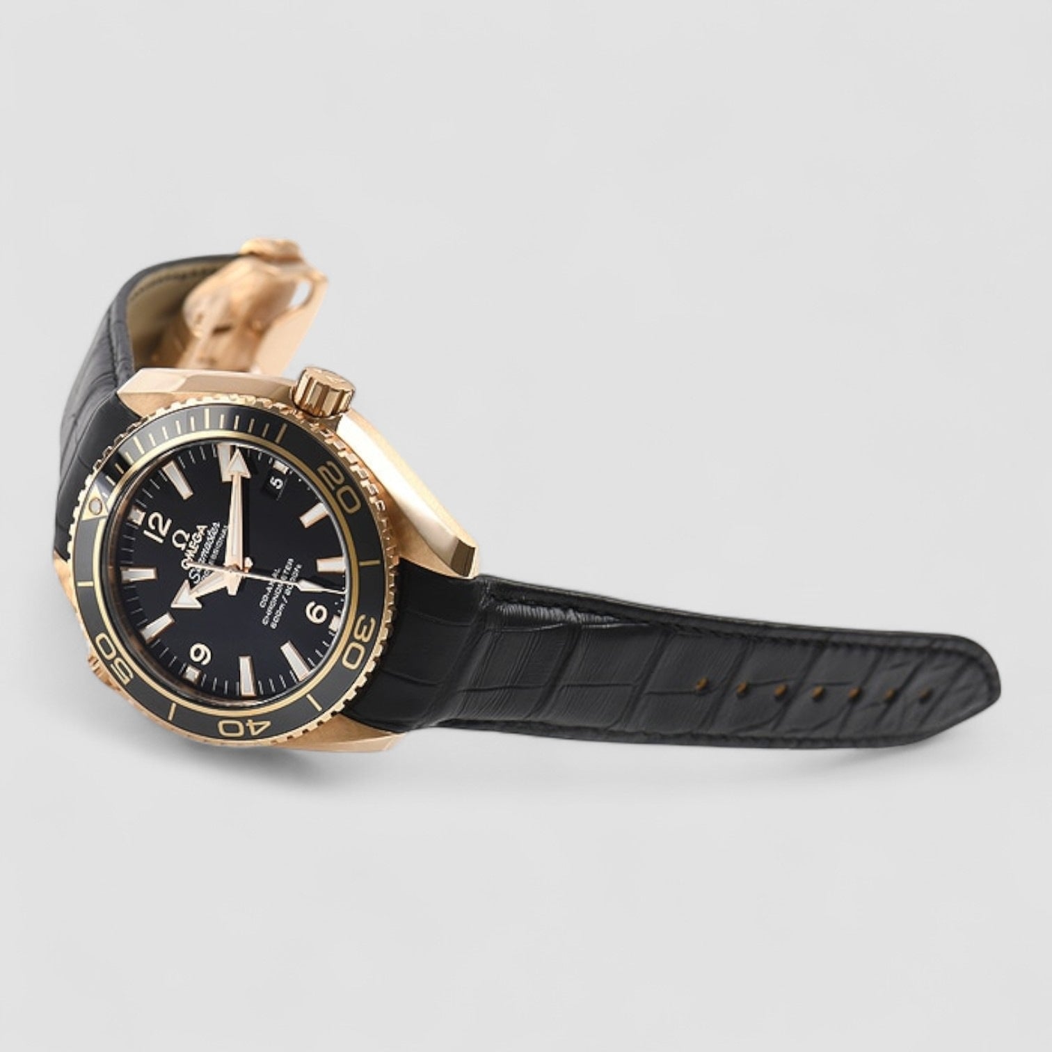 Seamaster Planet Ocean