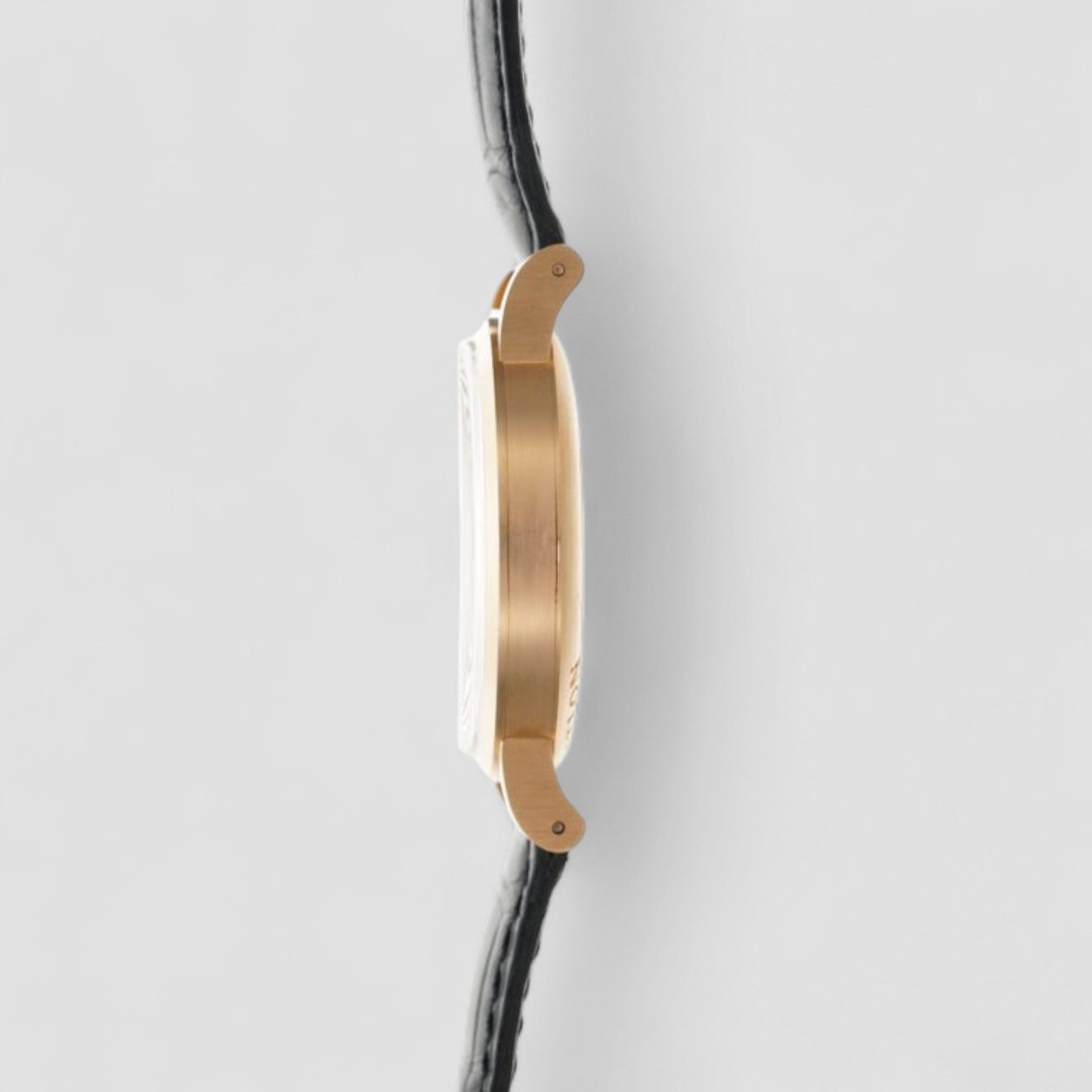 Museum Specialties Centenary 1894