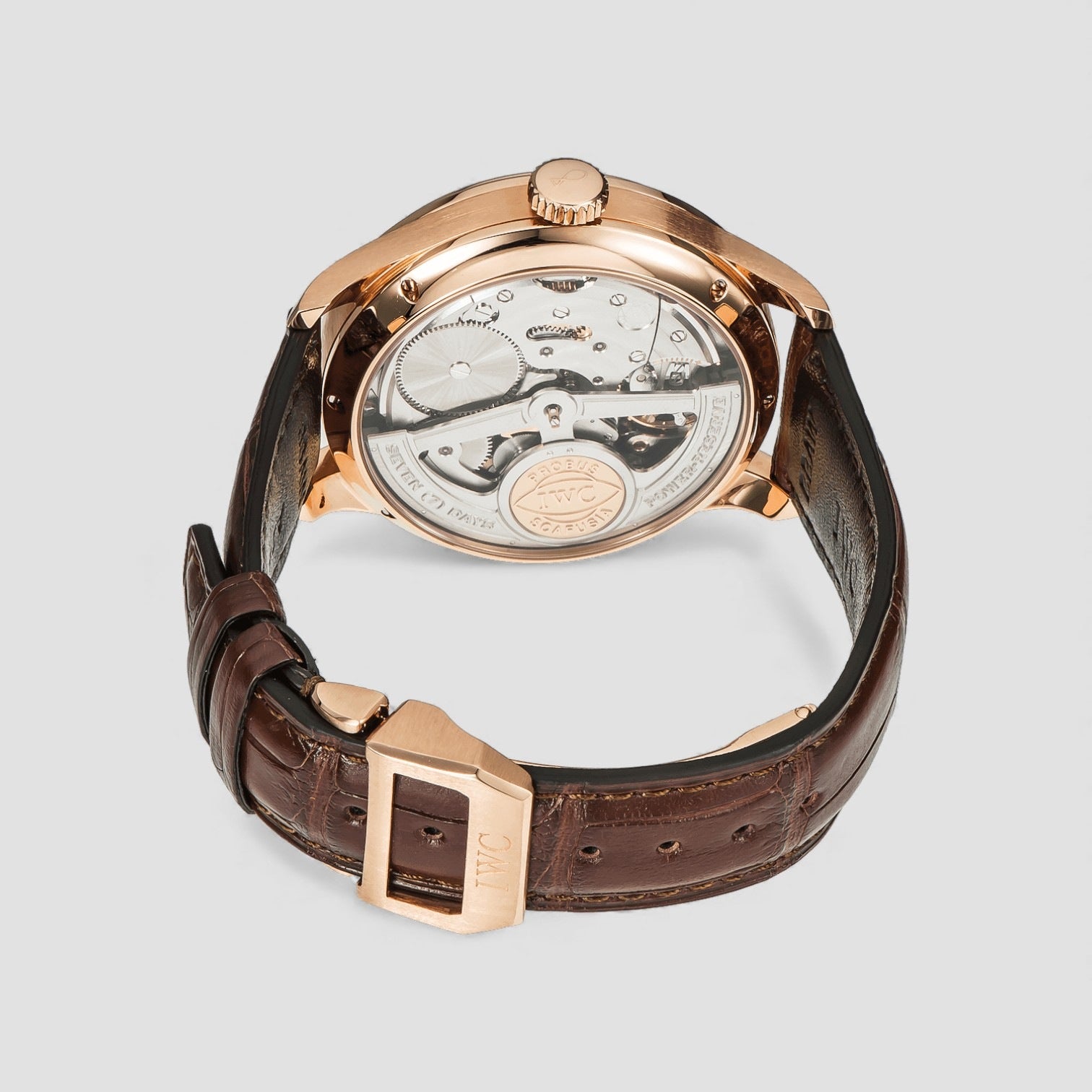 Portugieser Perpetual RG/Black